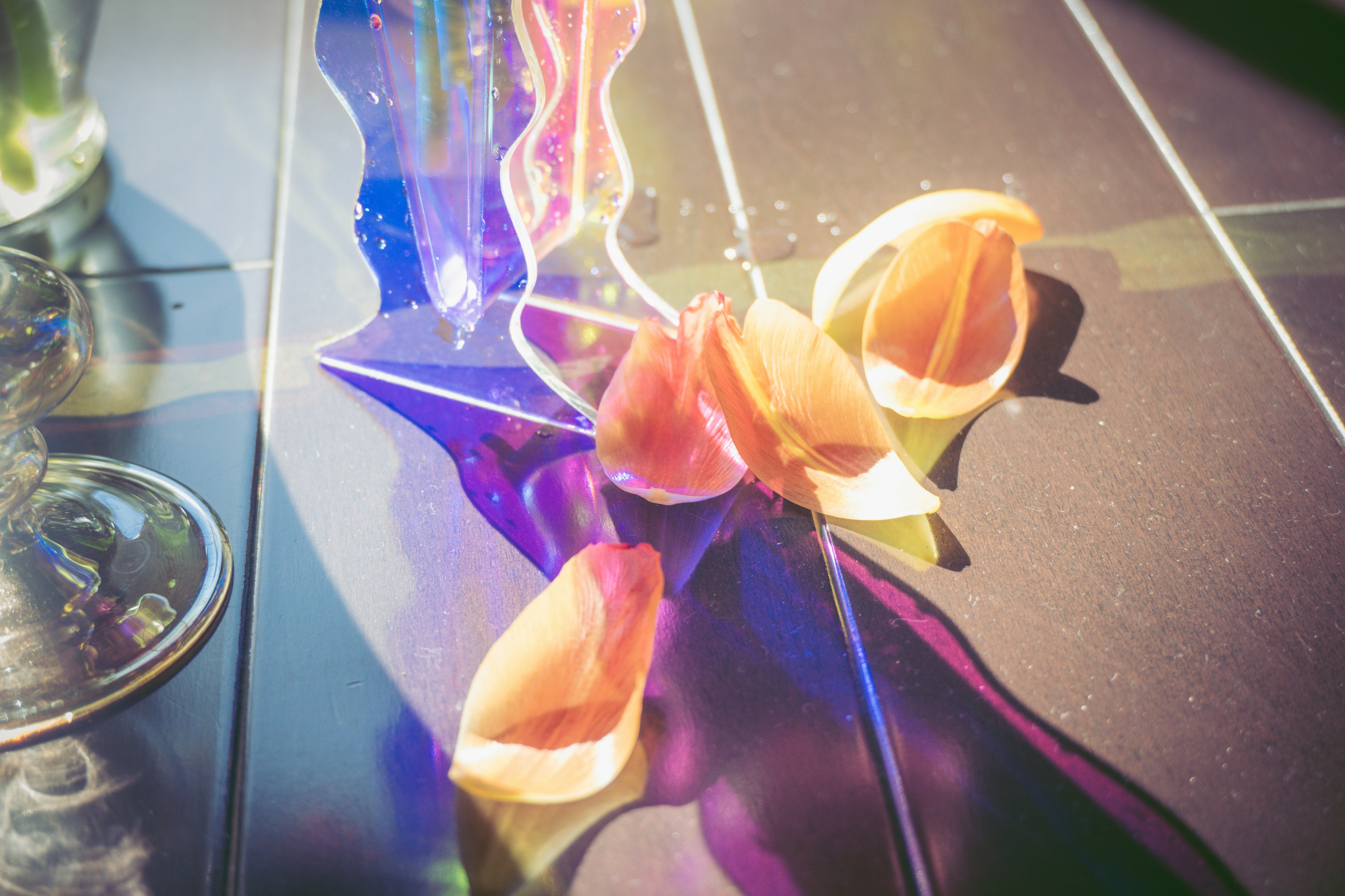 Colorful flower petals arranged on a stylish table surface