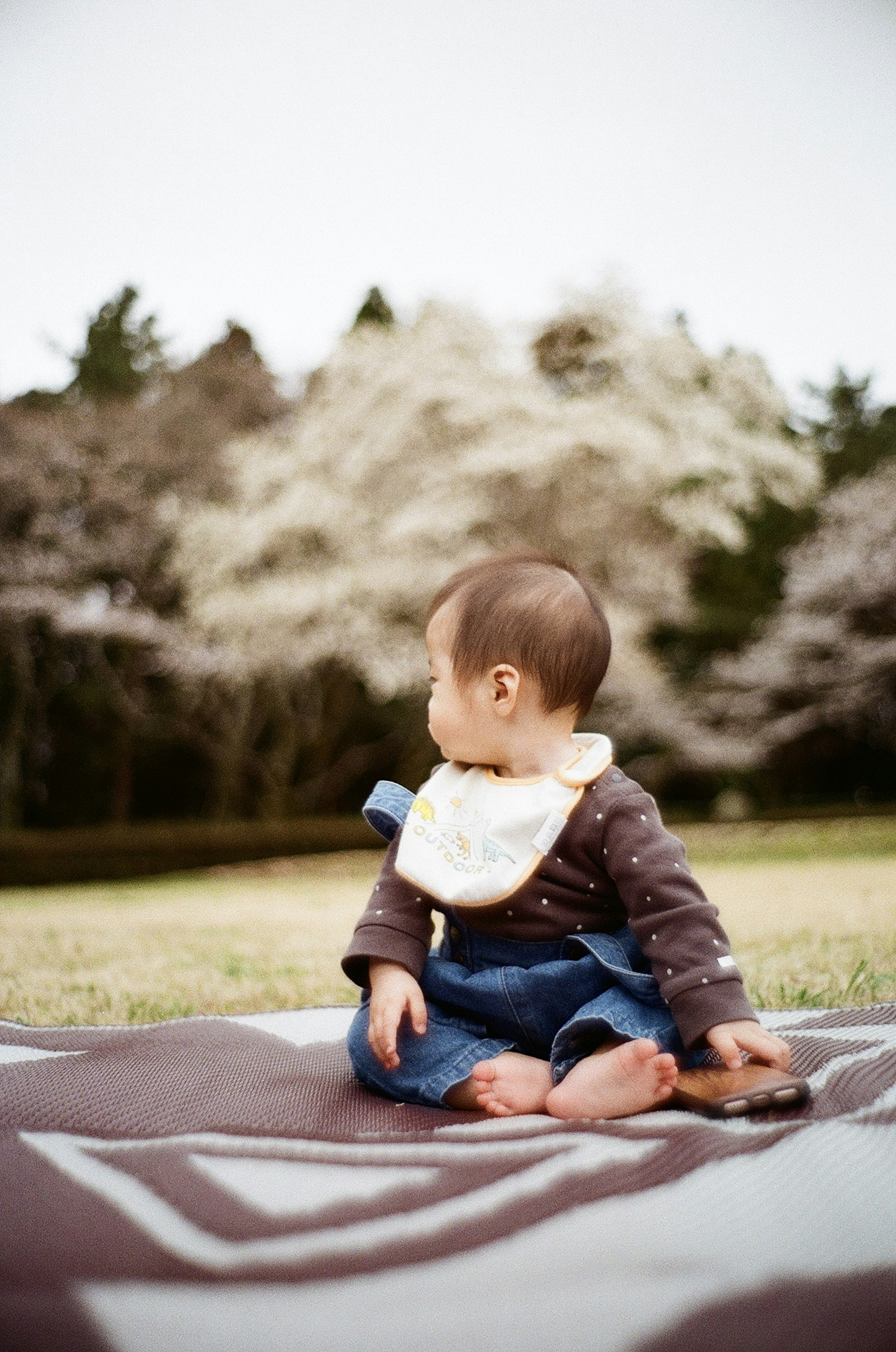 Baby sitting on a blanket in a park with cherry blossom trees