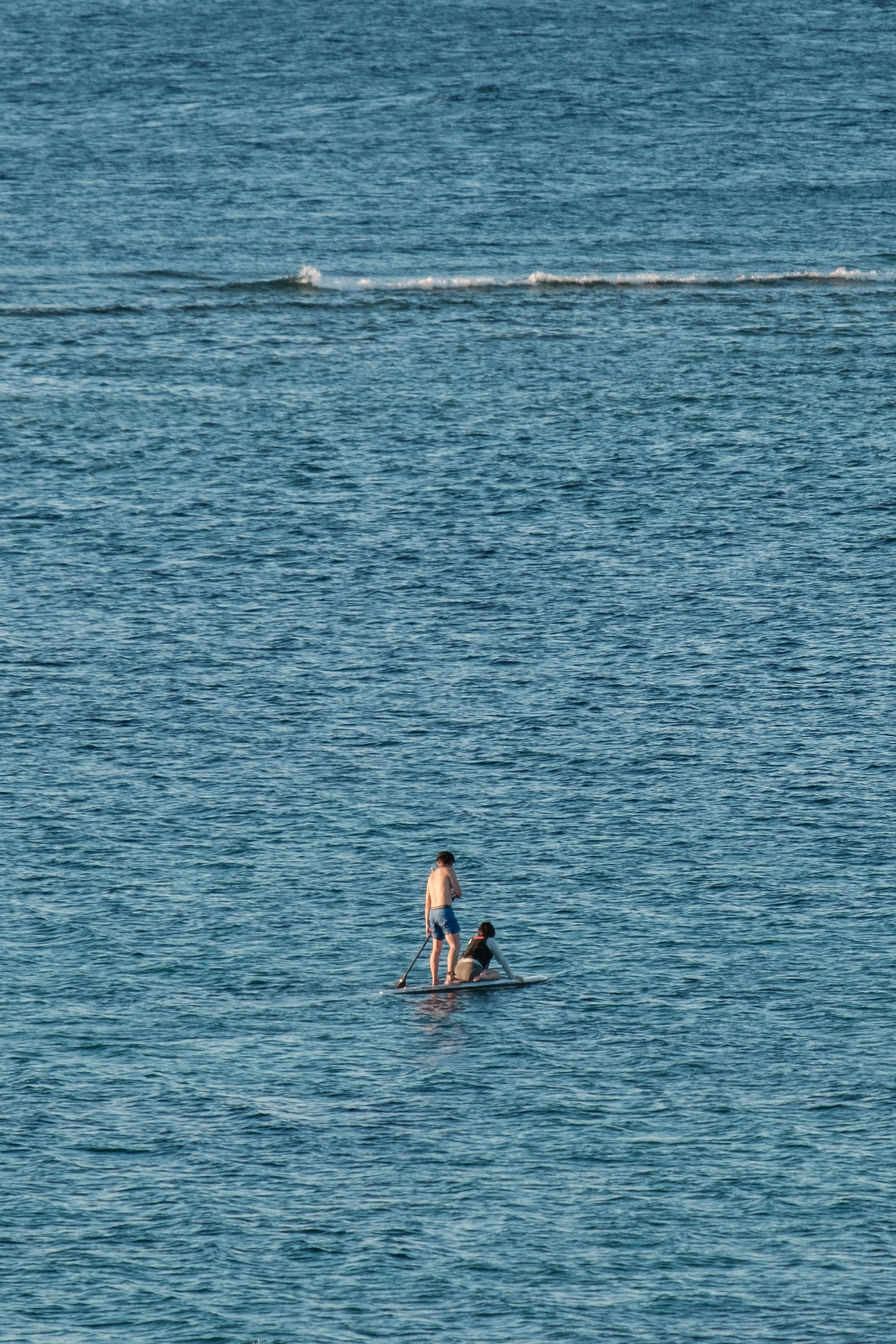 Silhouette of a child standing in water with a dog