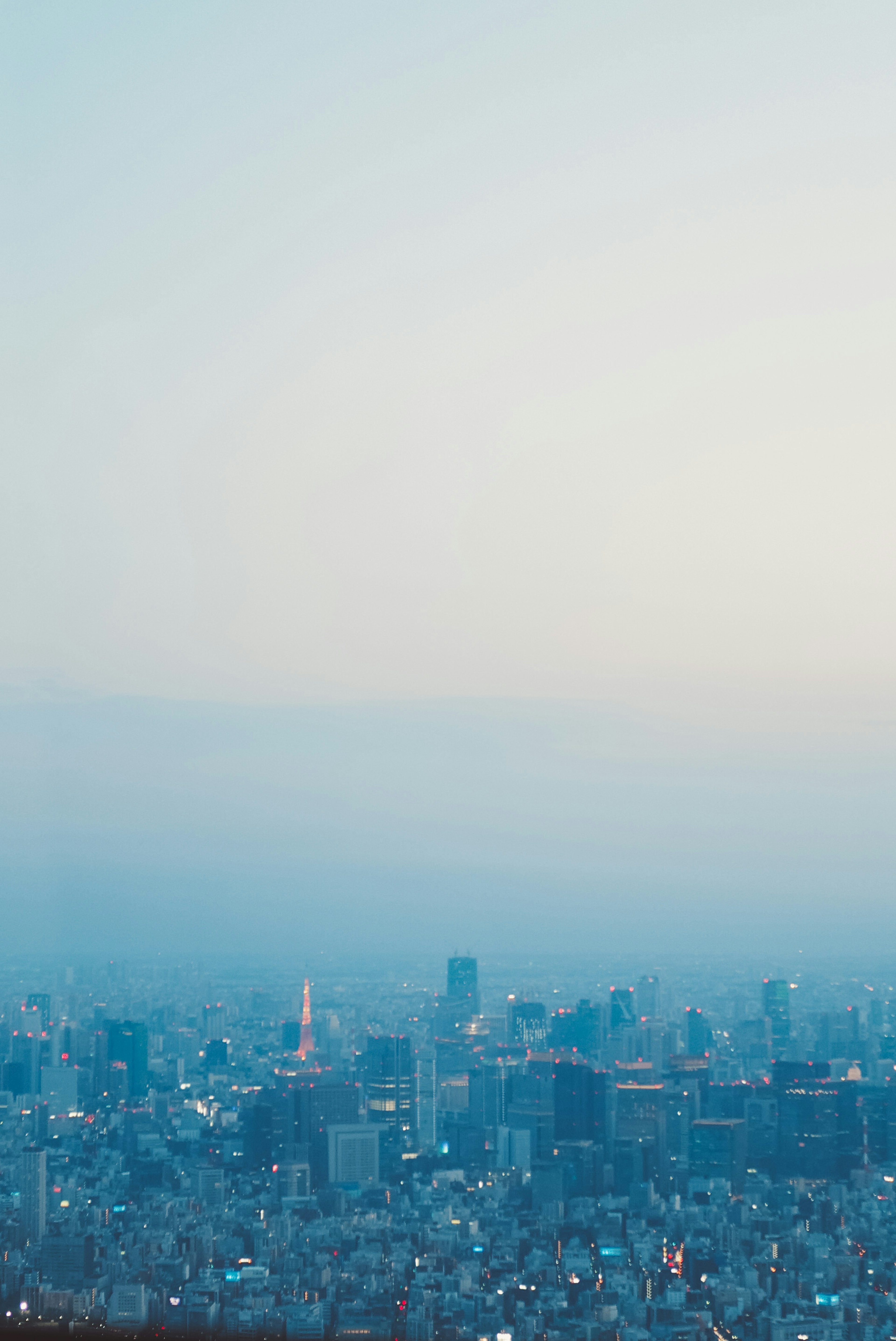 Tokyo skyline with a hazy sky at dusk