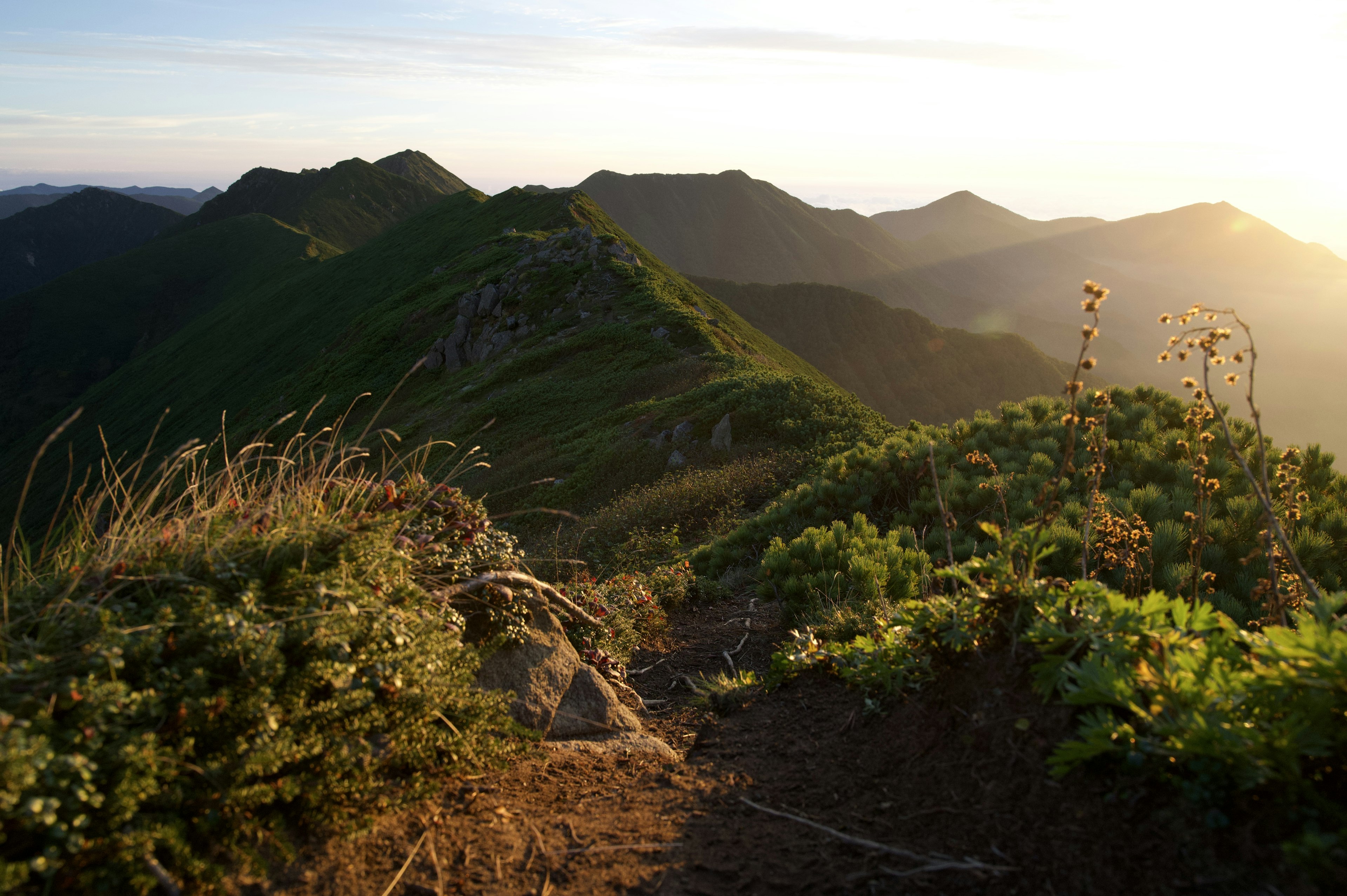 Vista panoramica dalla cima della montagna con colline verdi e luce solare