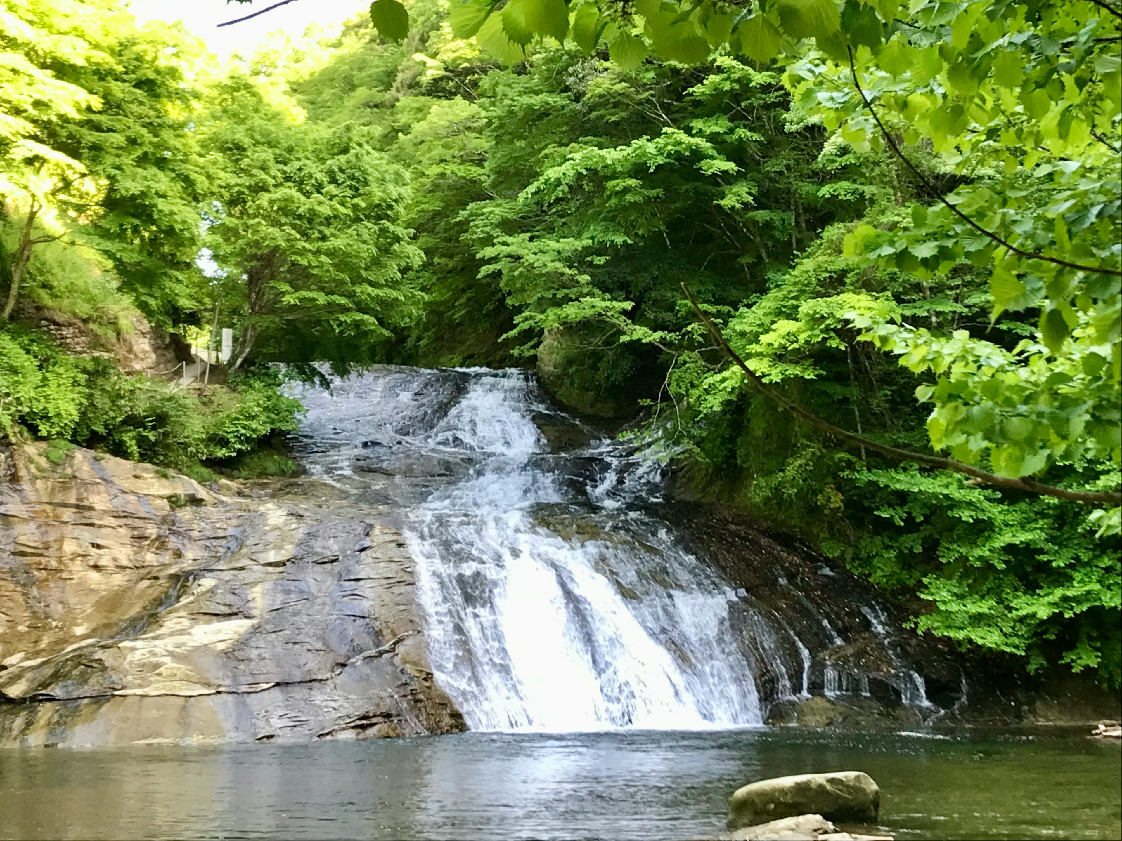 緑に囲まれた美しい滝と静かな水面