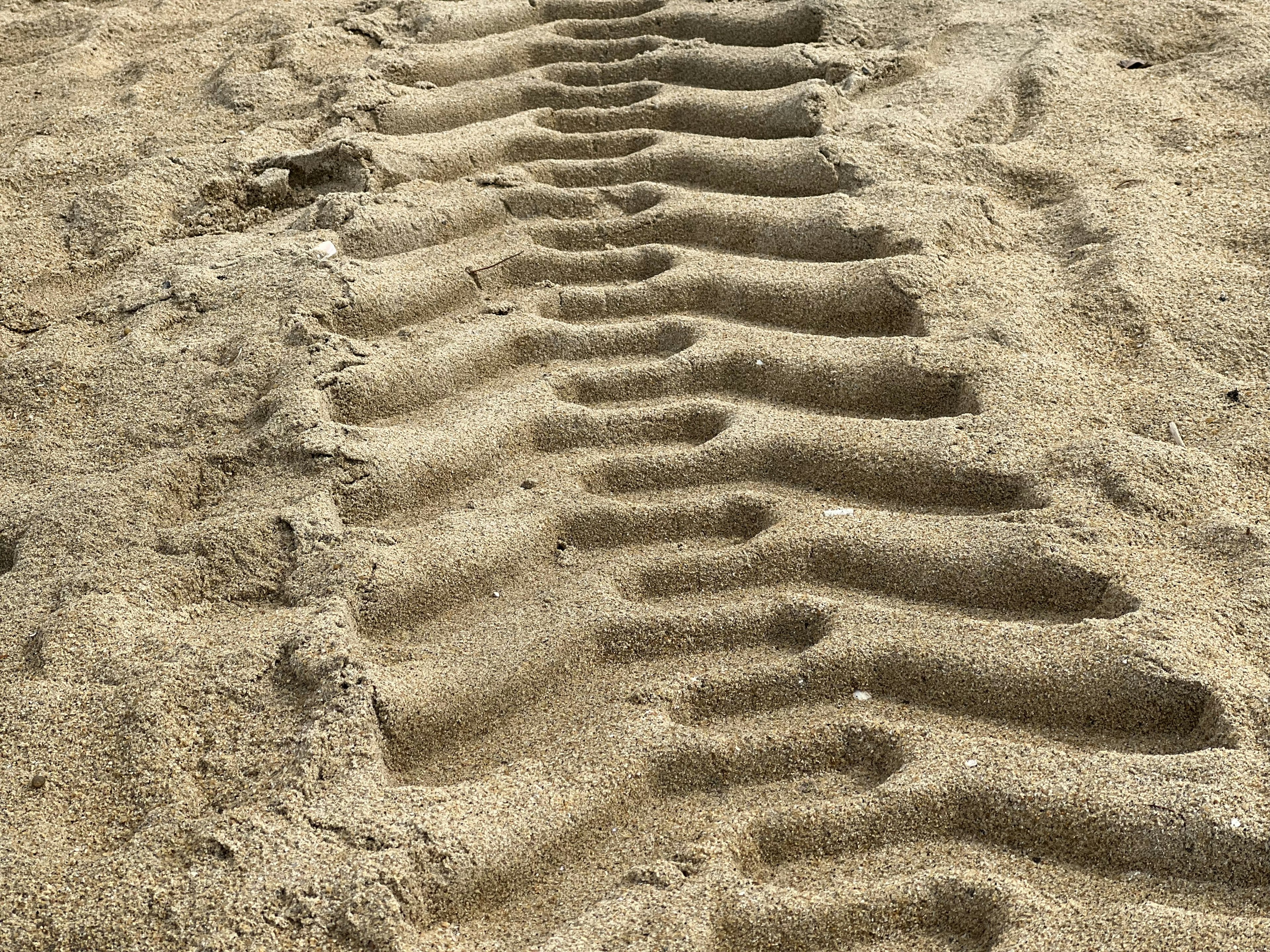 Reifenabdrücke auf dem Sandstrand, die ein gemustertes Texture erzeugen