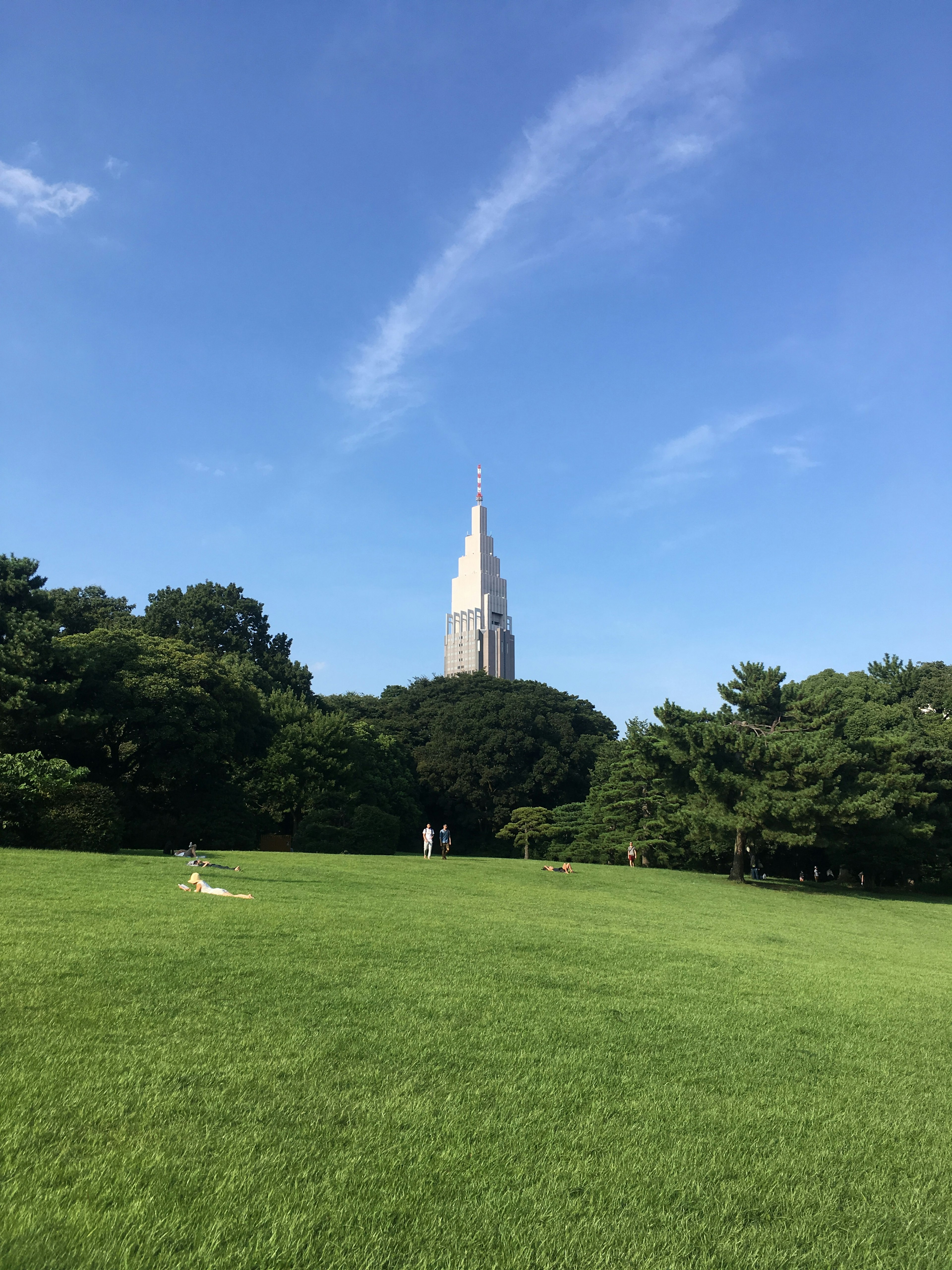 Tall building visible behind green grass and trees under a blue sky