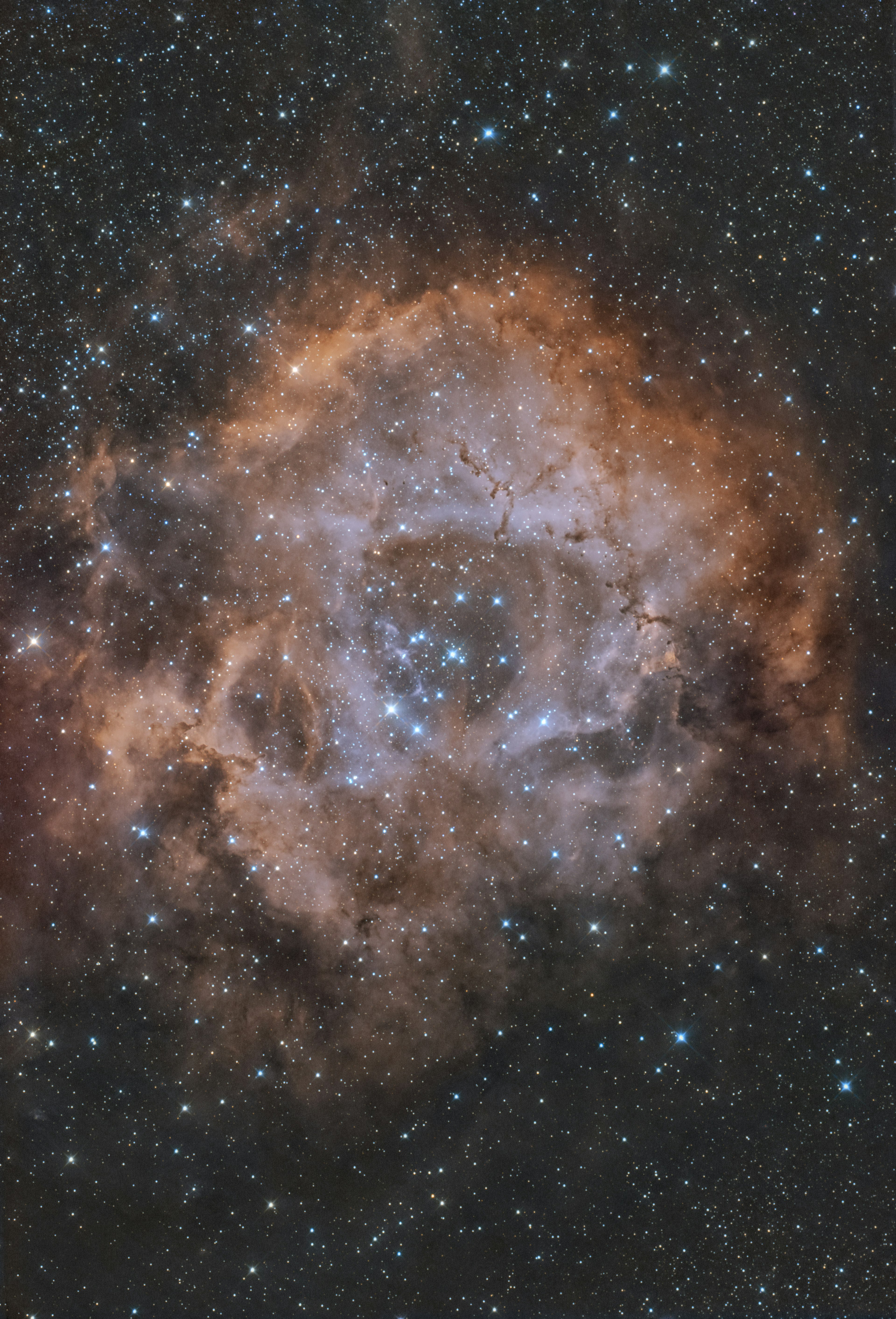 Image magnifique de la nébuleuse de la Rose dans l'espace profond