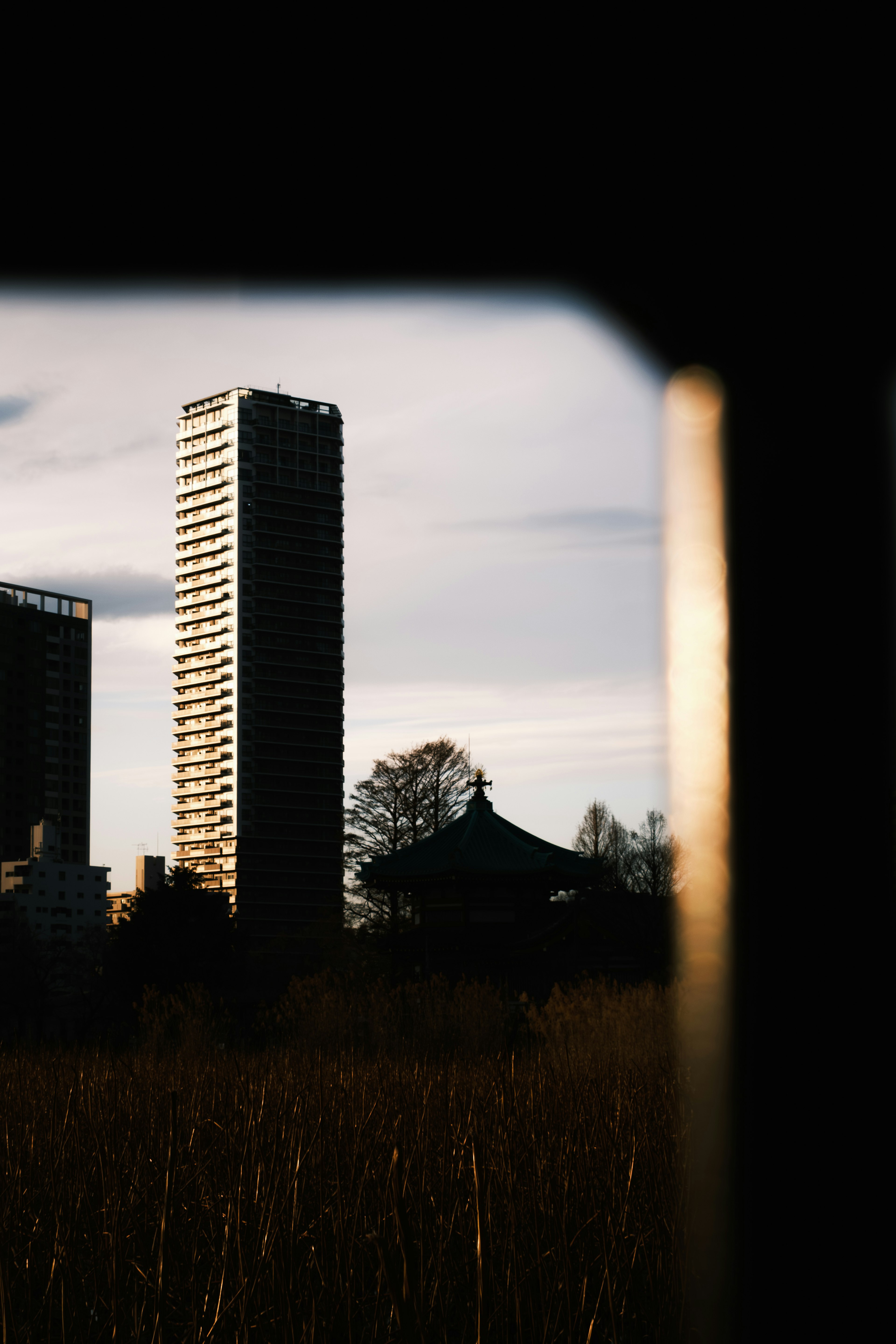 Silhouette of a skyscraper and a temple in the background