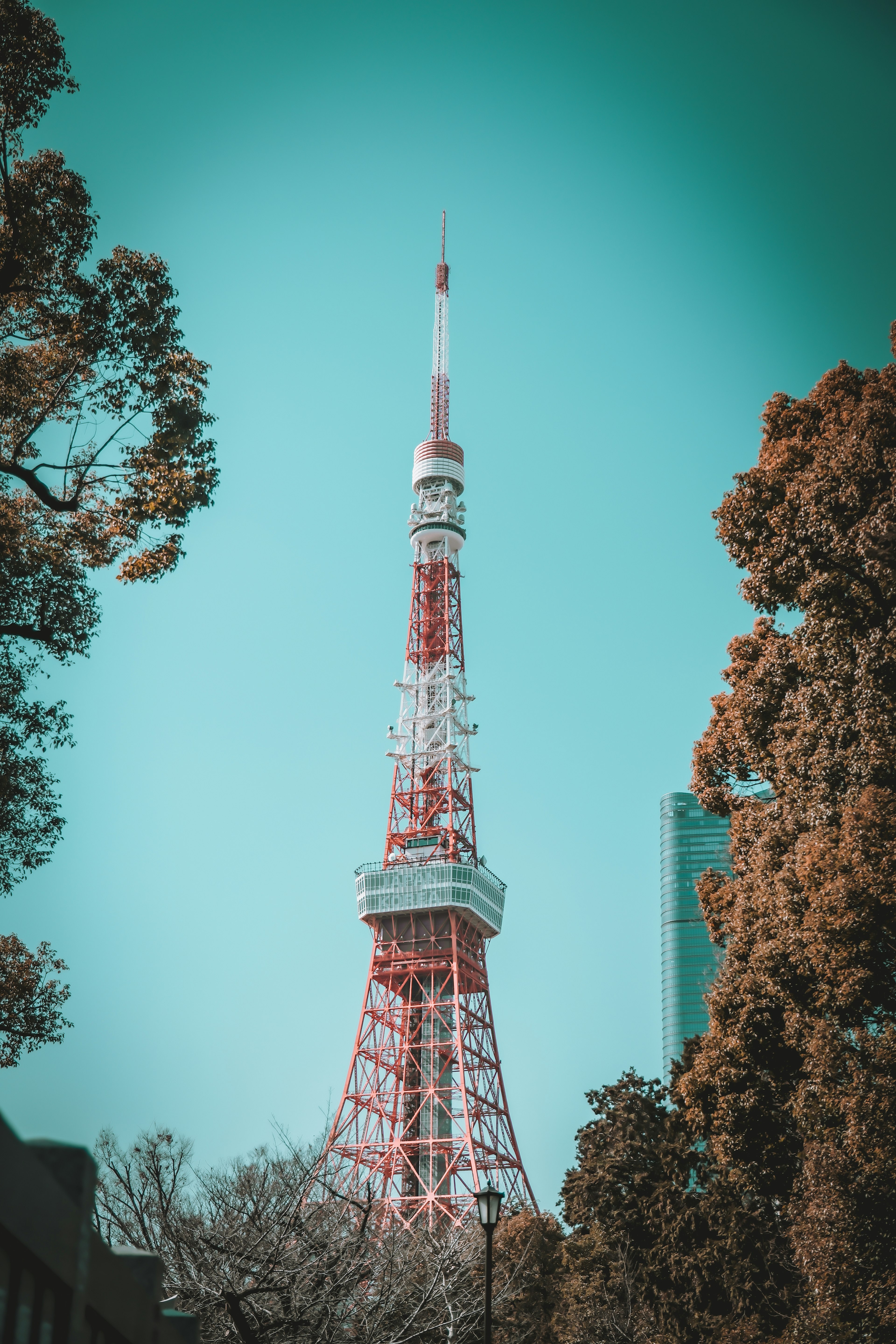 東京タワーの写真、青い空と緑の木々に囲まれた赤いタワー