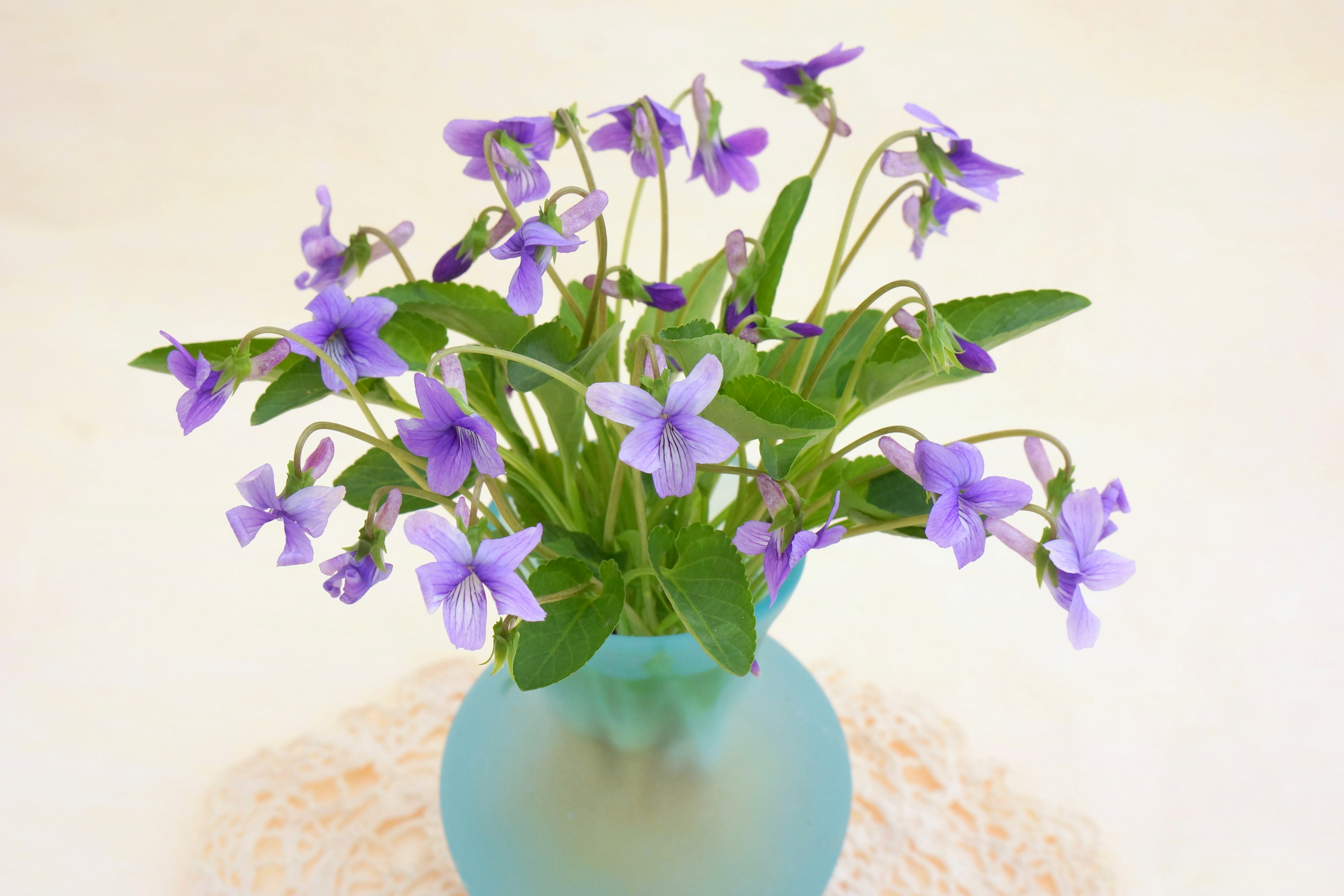 A bouquet of purple violets in a blue vase