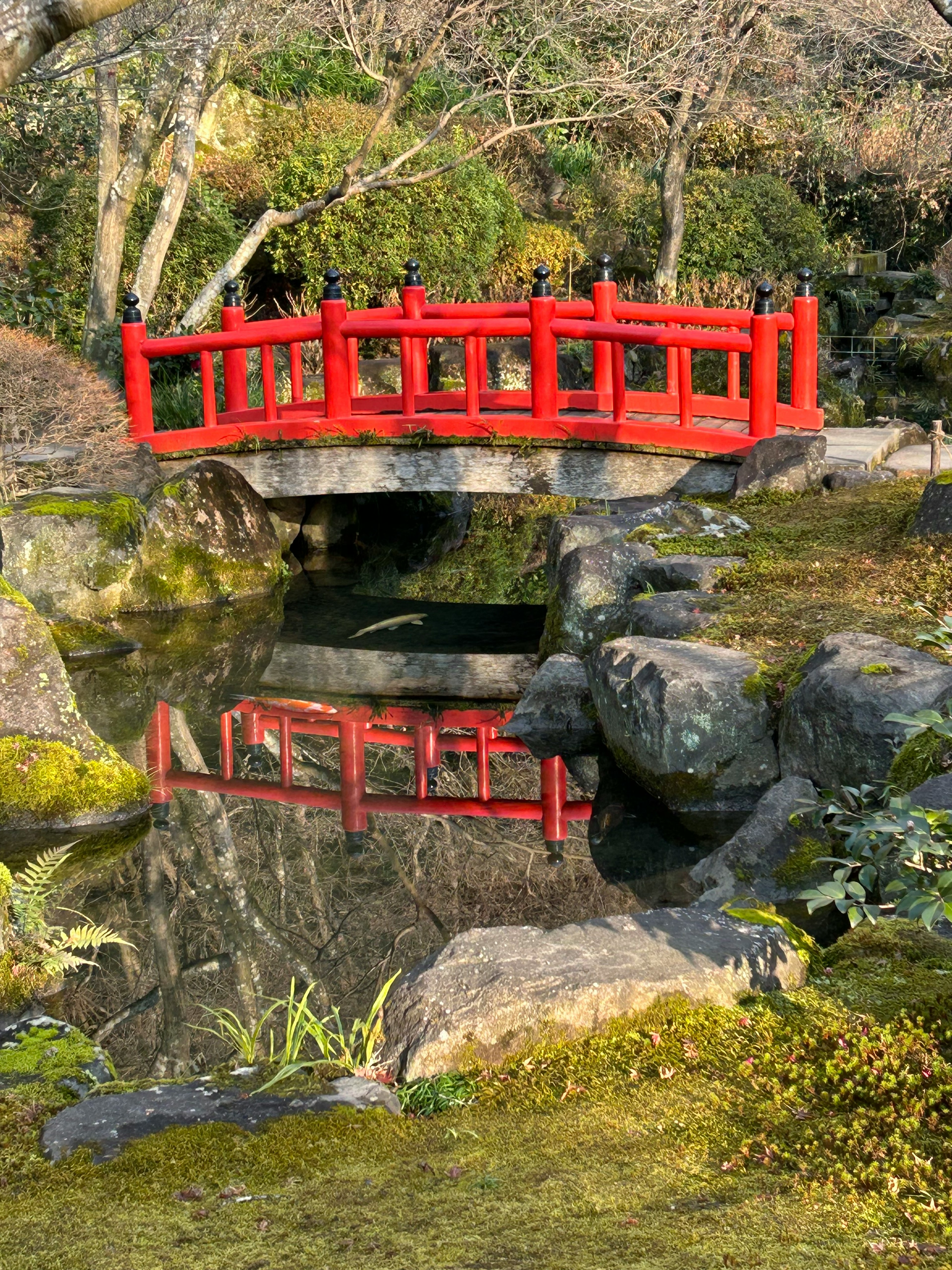 Ponte rosso che si riflette in uno stagno in un giardino giapponese