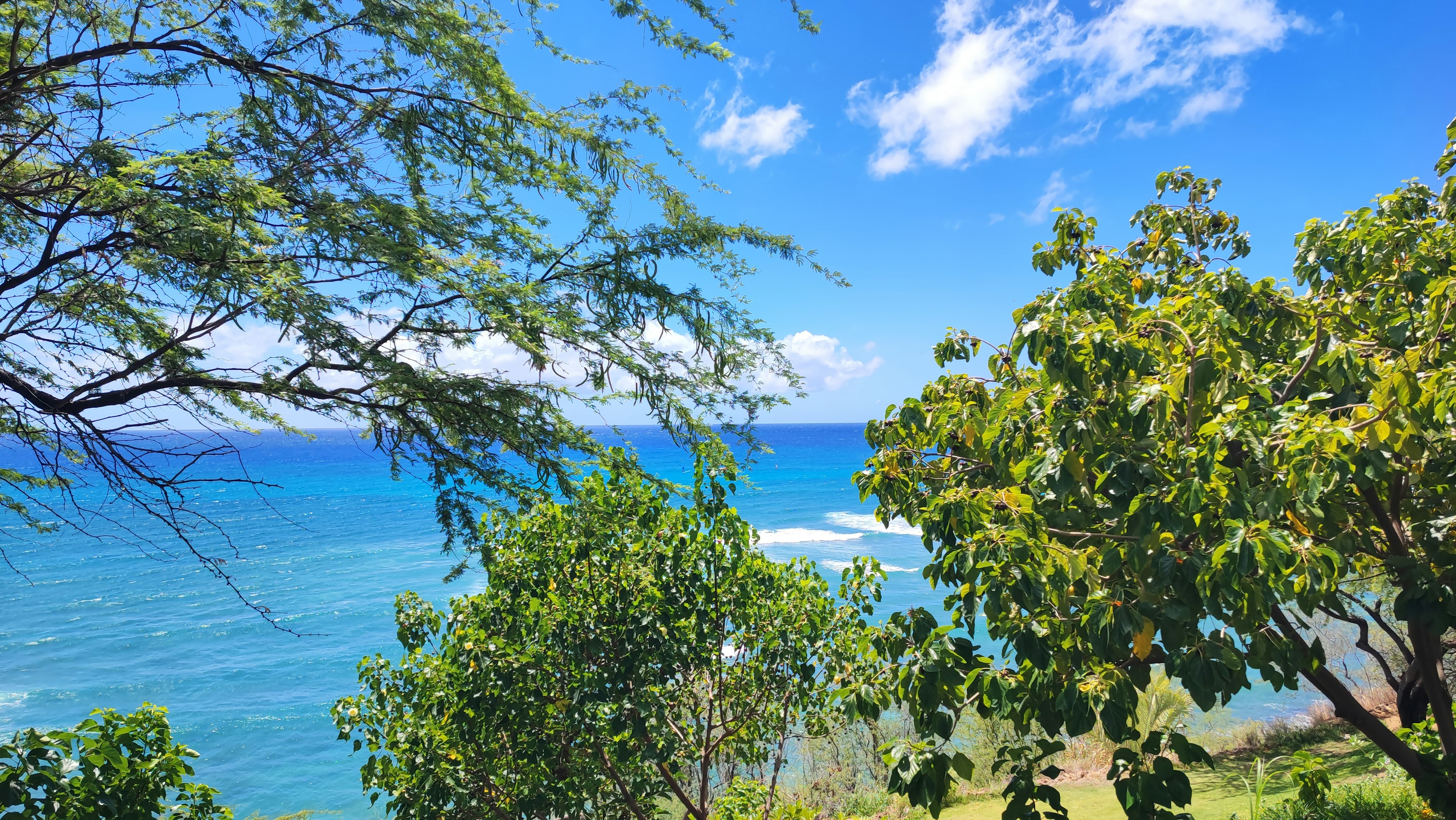 Scenic view of blue ocean with green trees