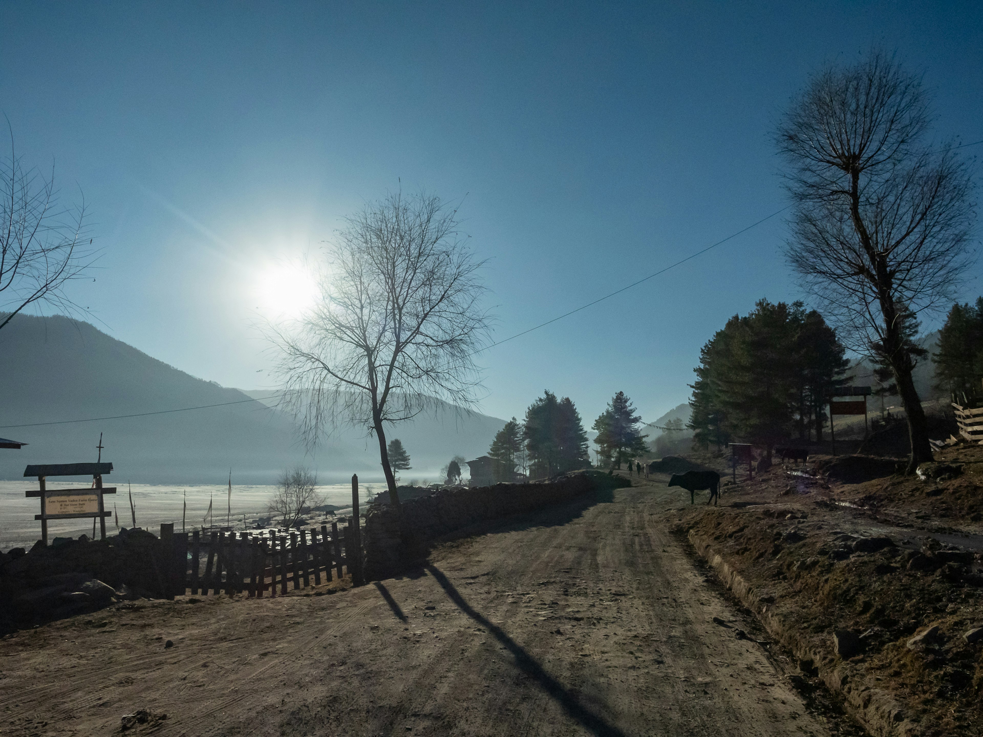 Una strada tranquilla con alberi e basse montagne visibili nella nebbia