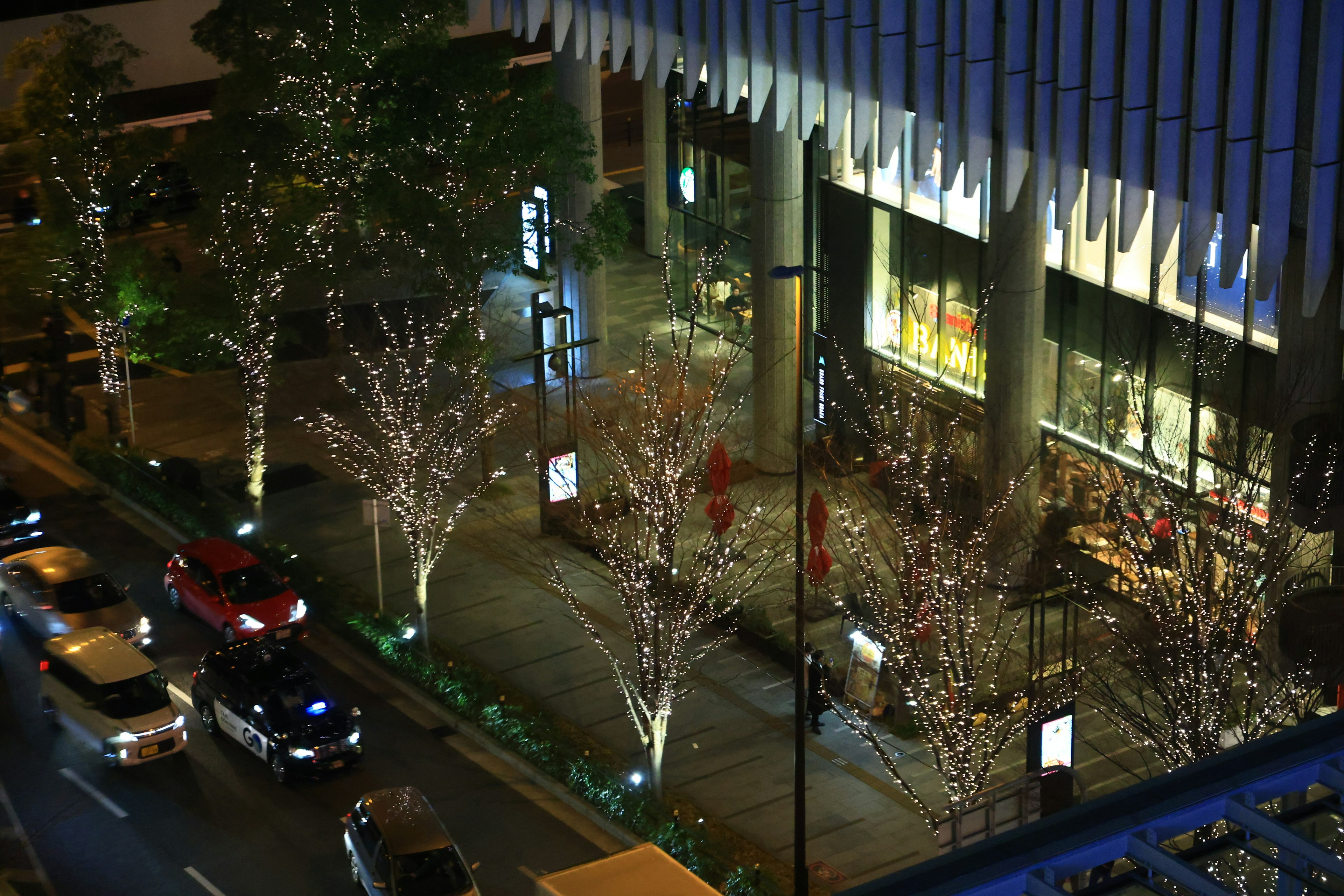 Vista notturna di alberi illuminati e facciata di un edificio con luci festive