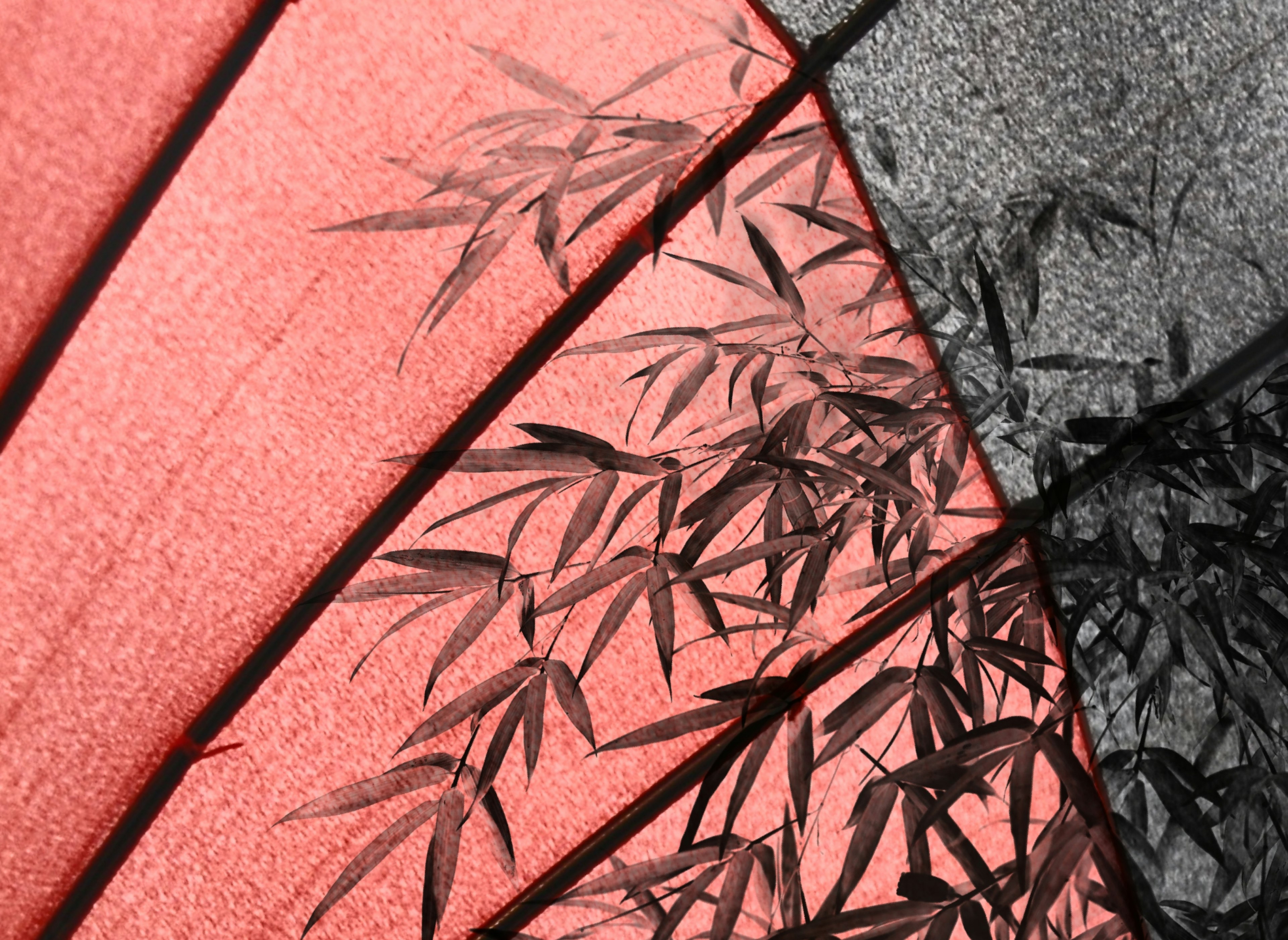 Red Japanese umbrella with bamboo leaf patterns and light reflection