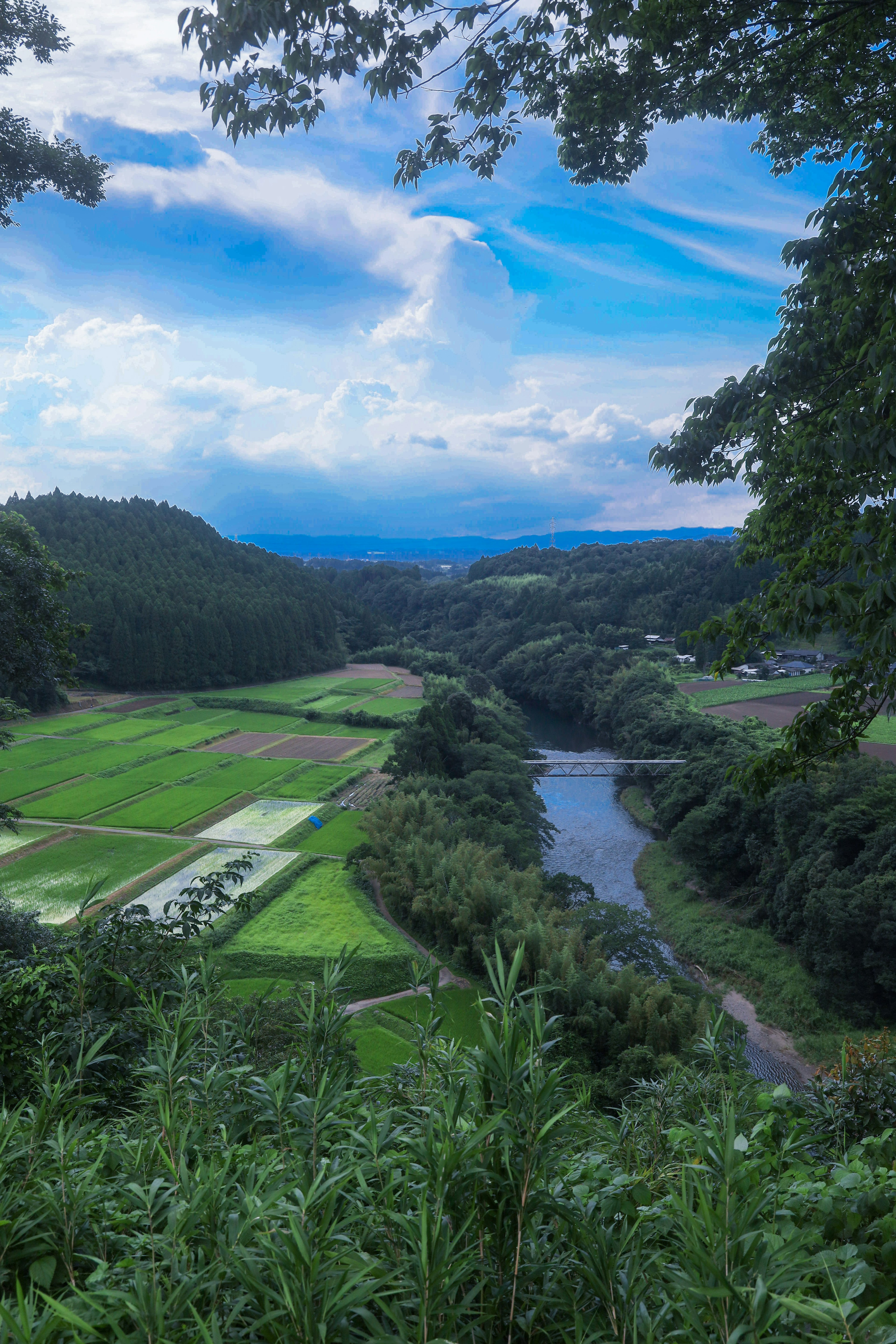 青空と白い雲が広がる田園風景のパノラマ緑の田んぼと流れる川