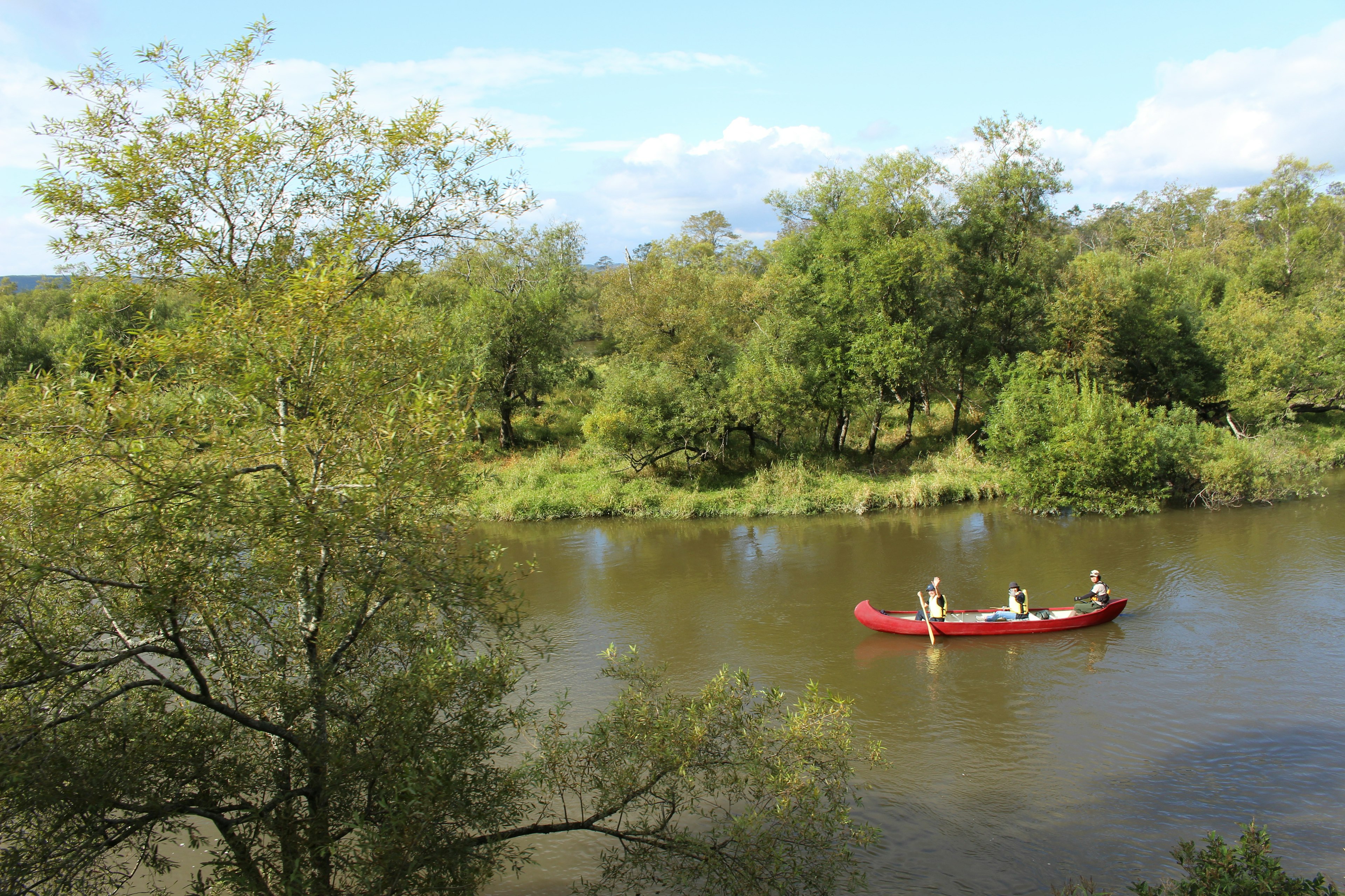 Persone in un canoa rossa su un fiume circondato da una vegetazione rigogliosa