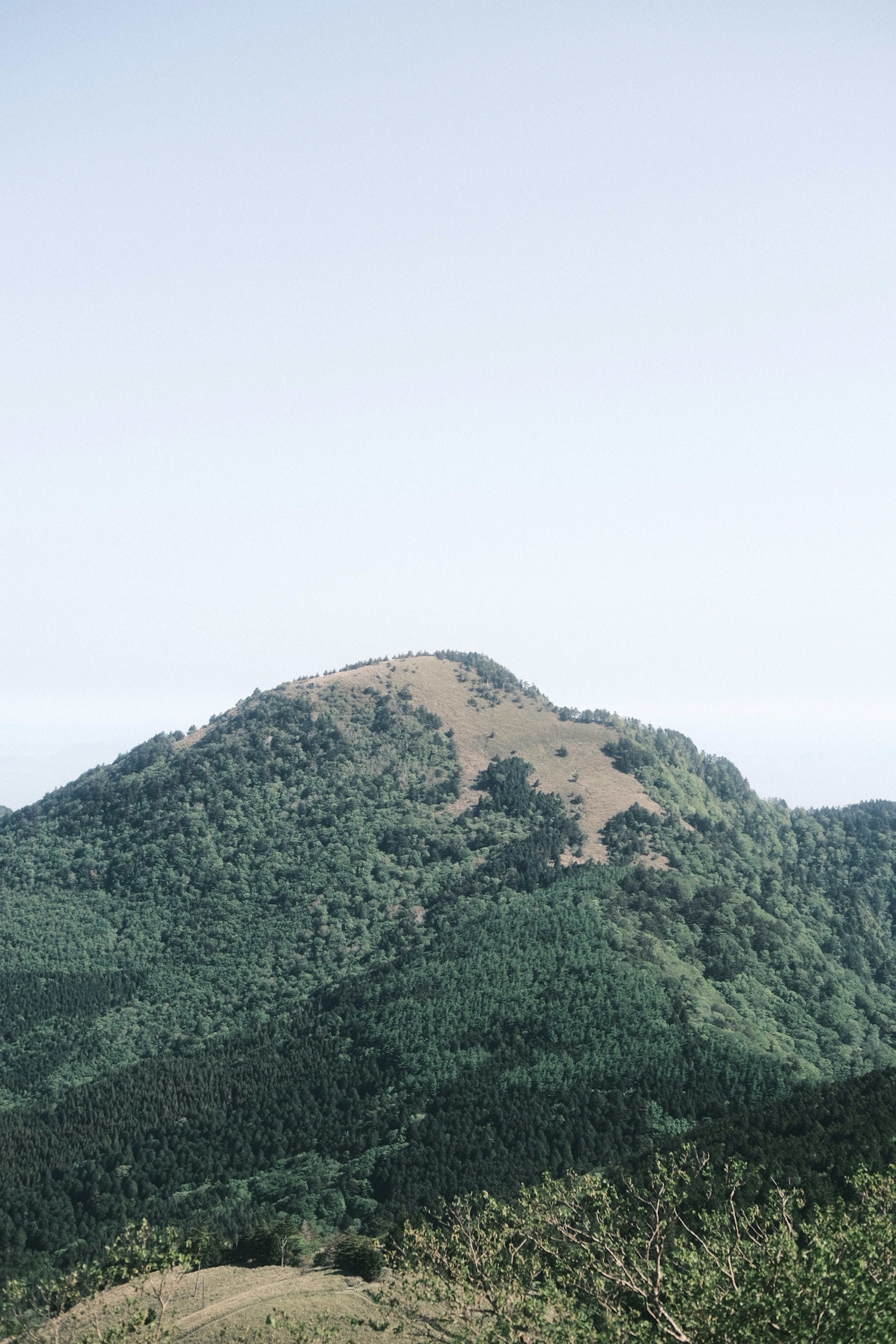 A scenic view of a mountain surrounded by lush greenery