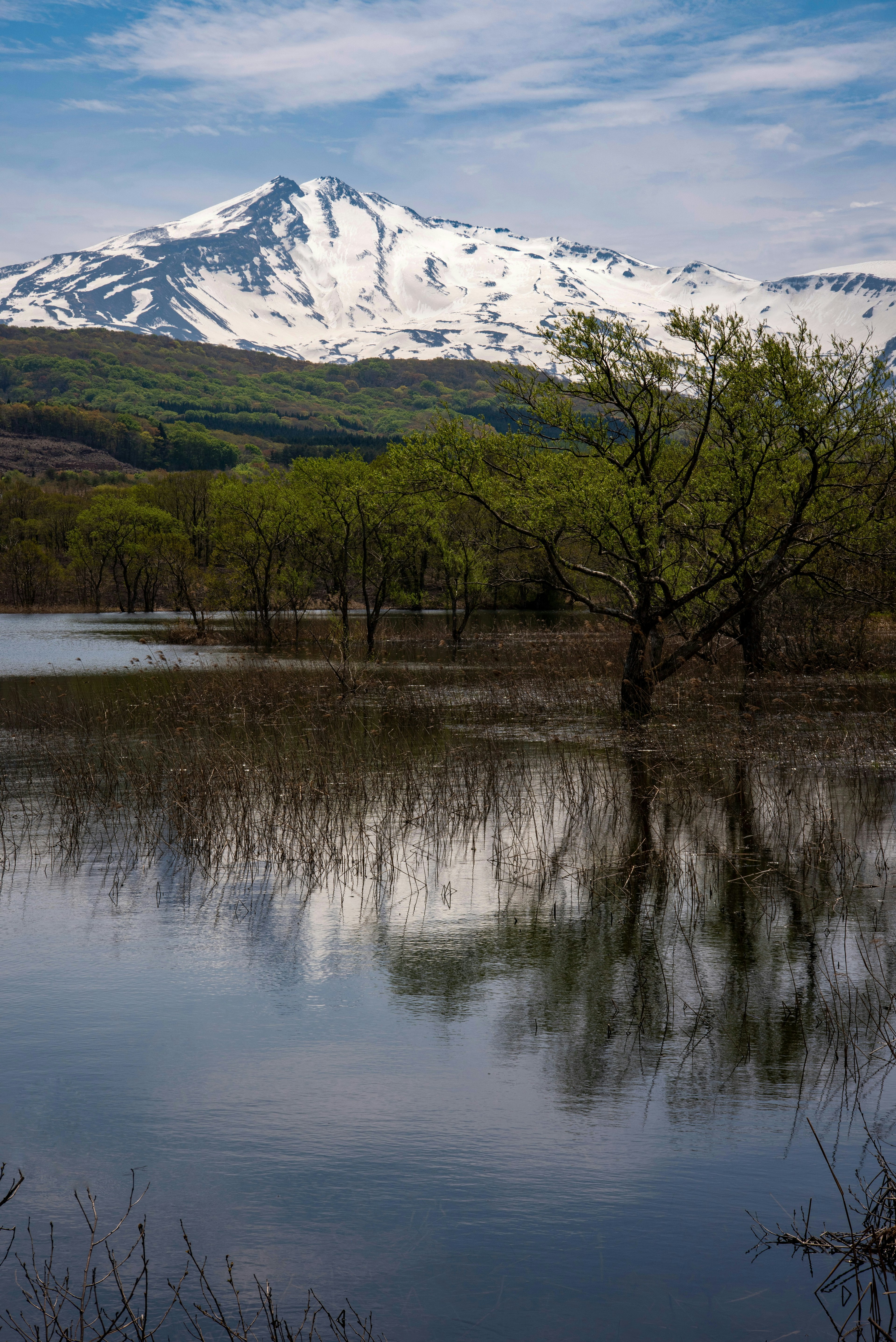 Montagna innevata riflessa in un lago tranquillo circondato da vegetazione