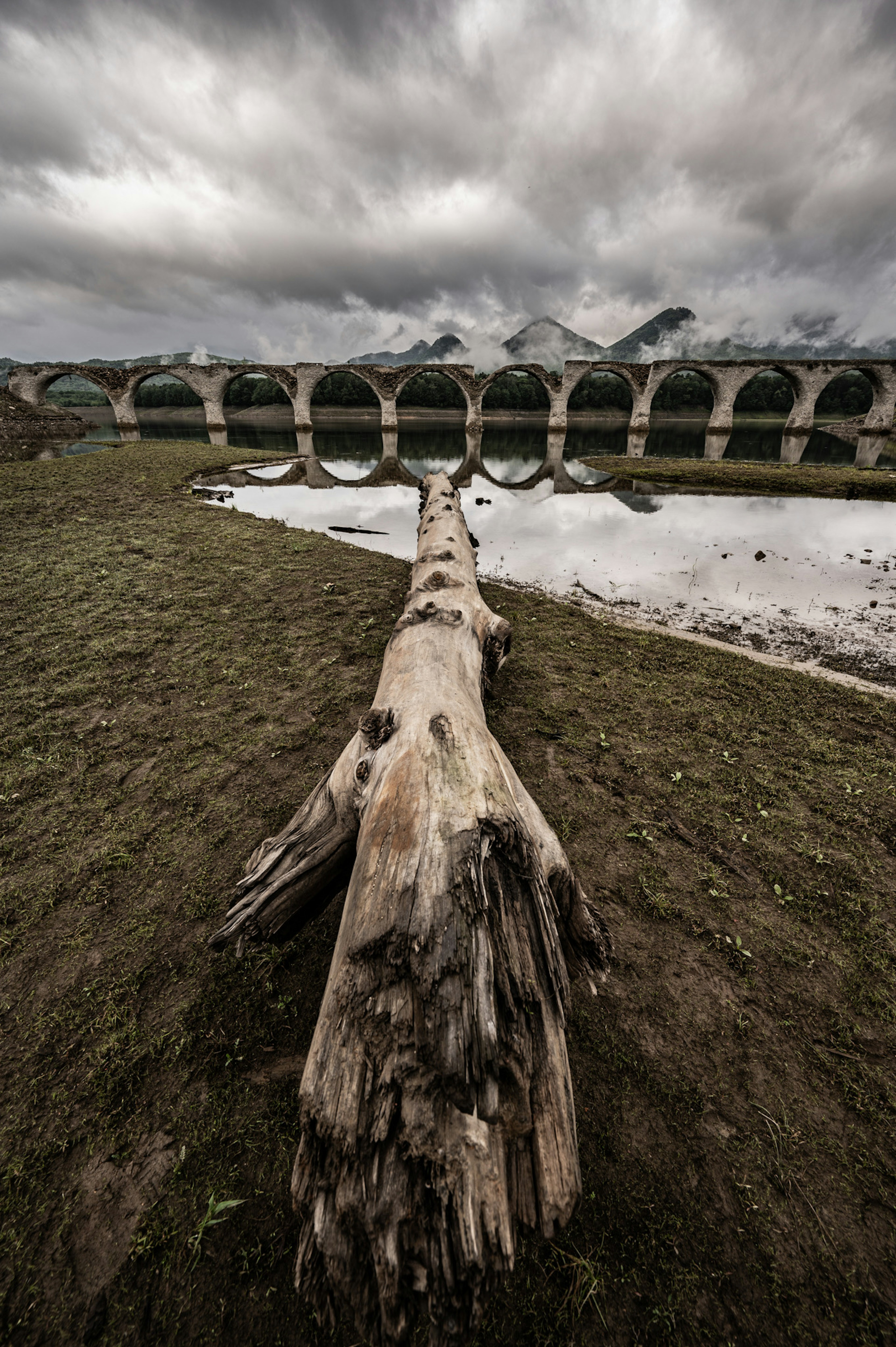 Ein umgefallener Baum auf dem Boden mit einem Spiegelbild im Wasser und einem bewölkten Himmel