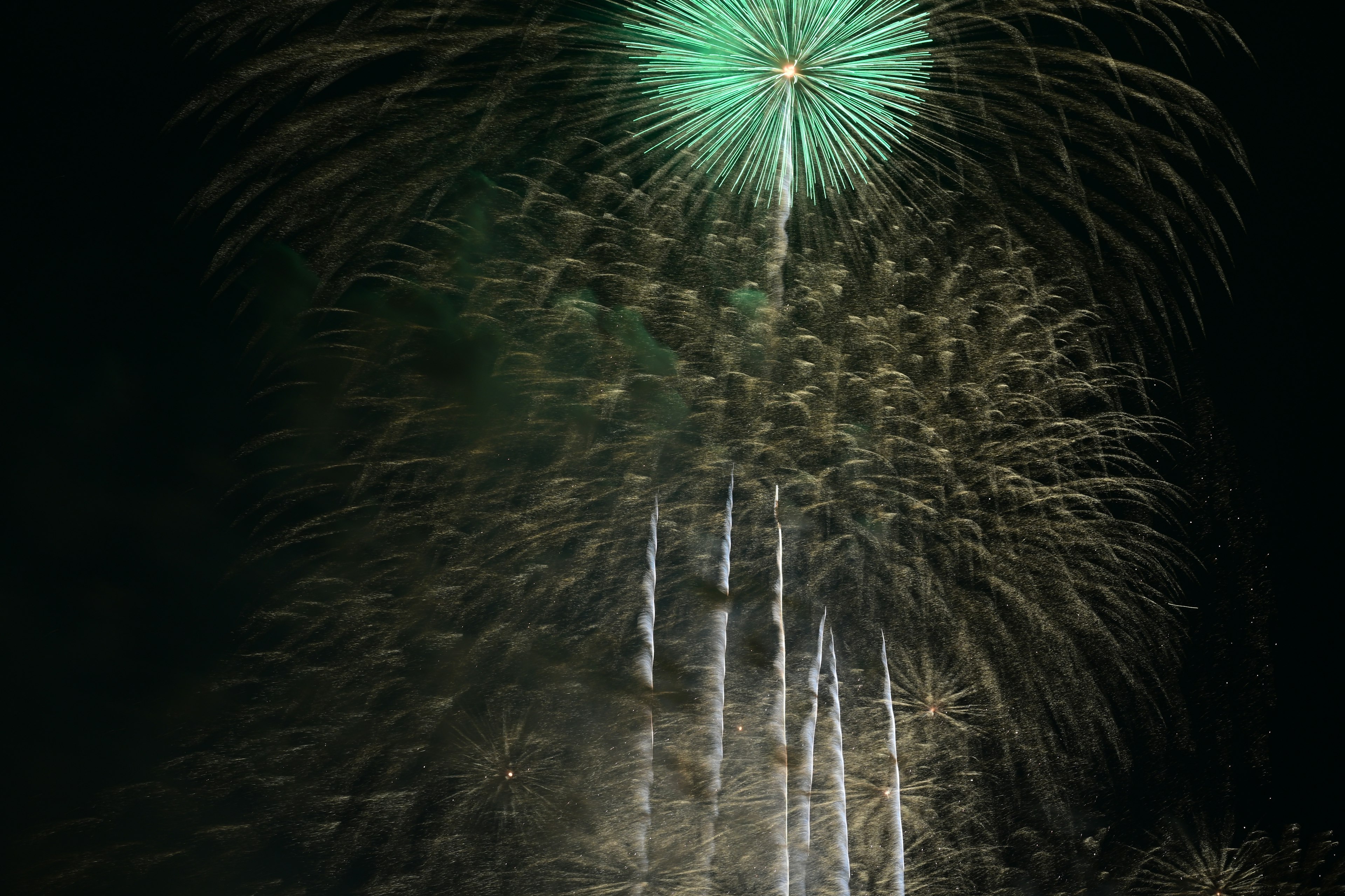 Fuegos artificiales verdes estallando en el cielo nocturno con chispas doradas