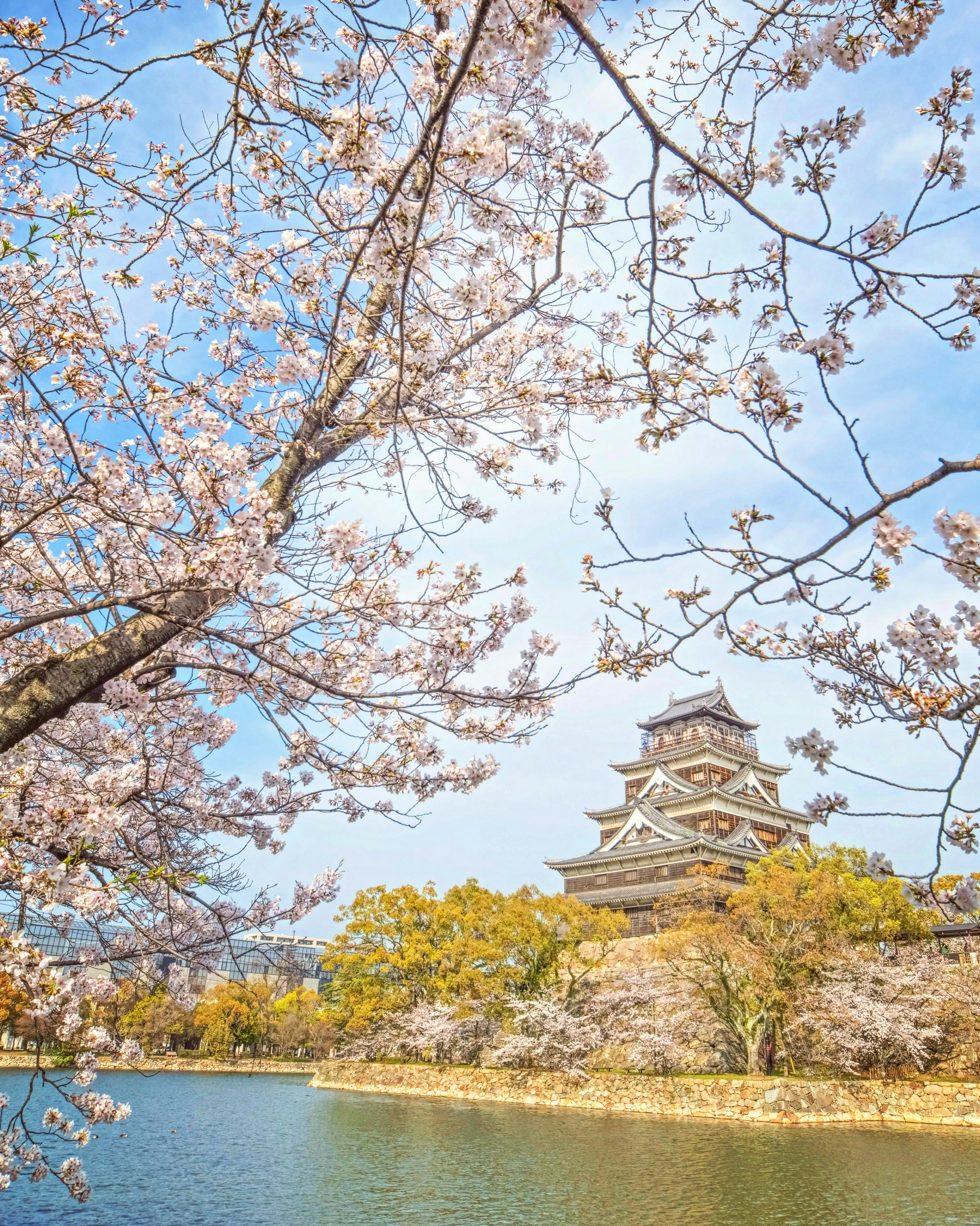 Pemandangan indah Kastil Osaka dikelilingi bunga sakura yang mekar