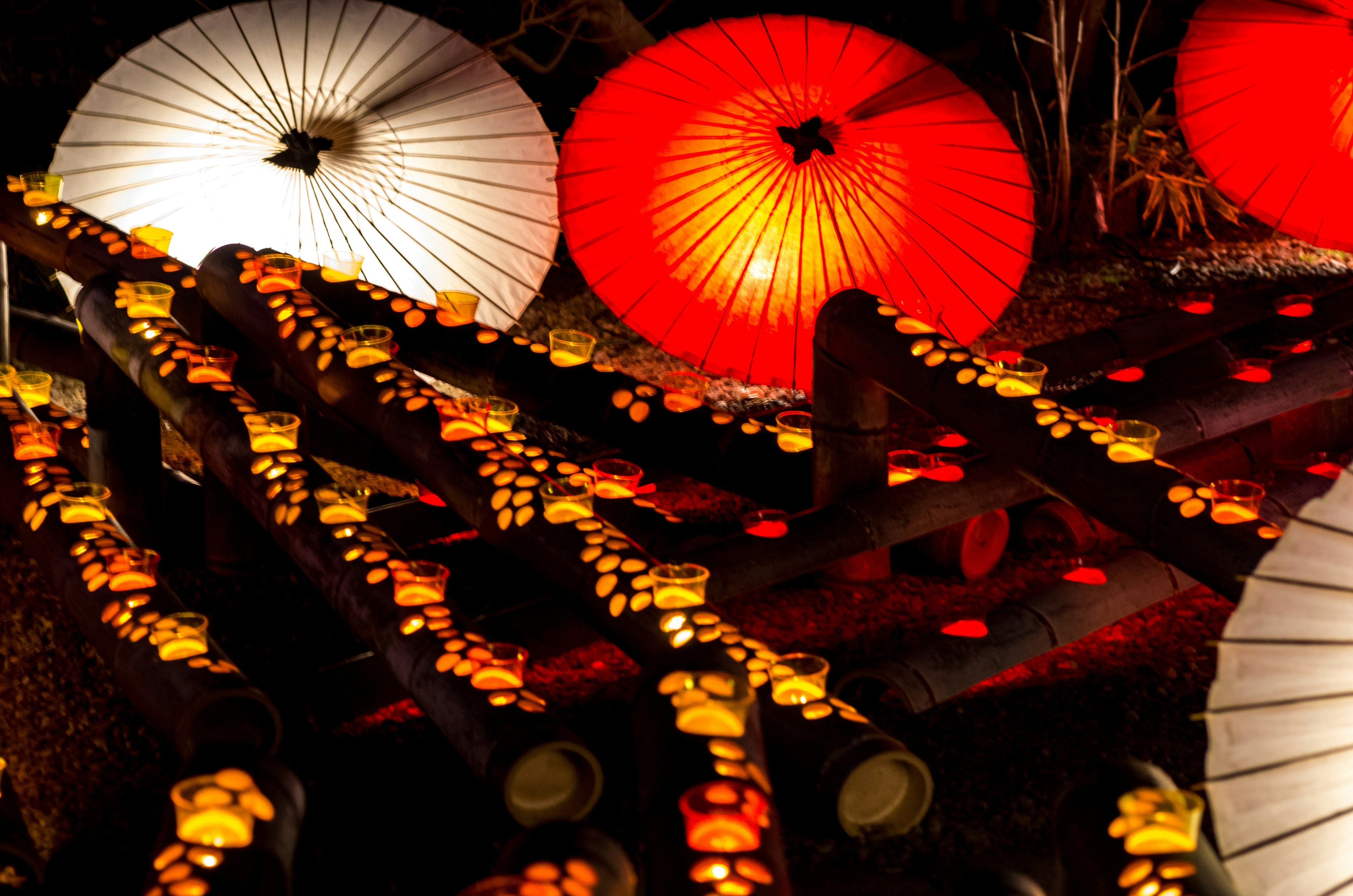 Lanterne colorate e petali di fiori che decorano un giardino notturno