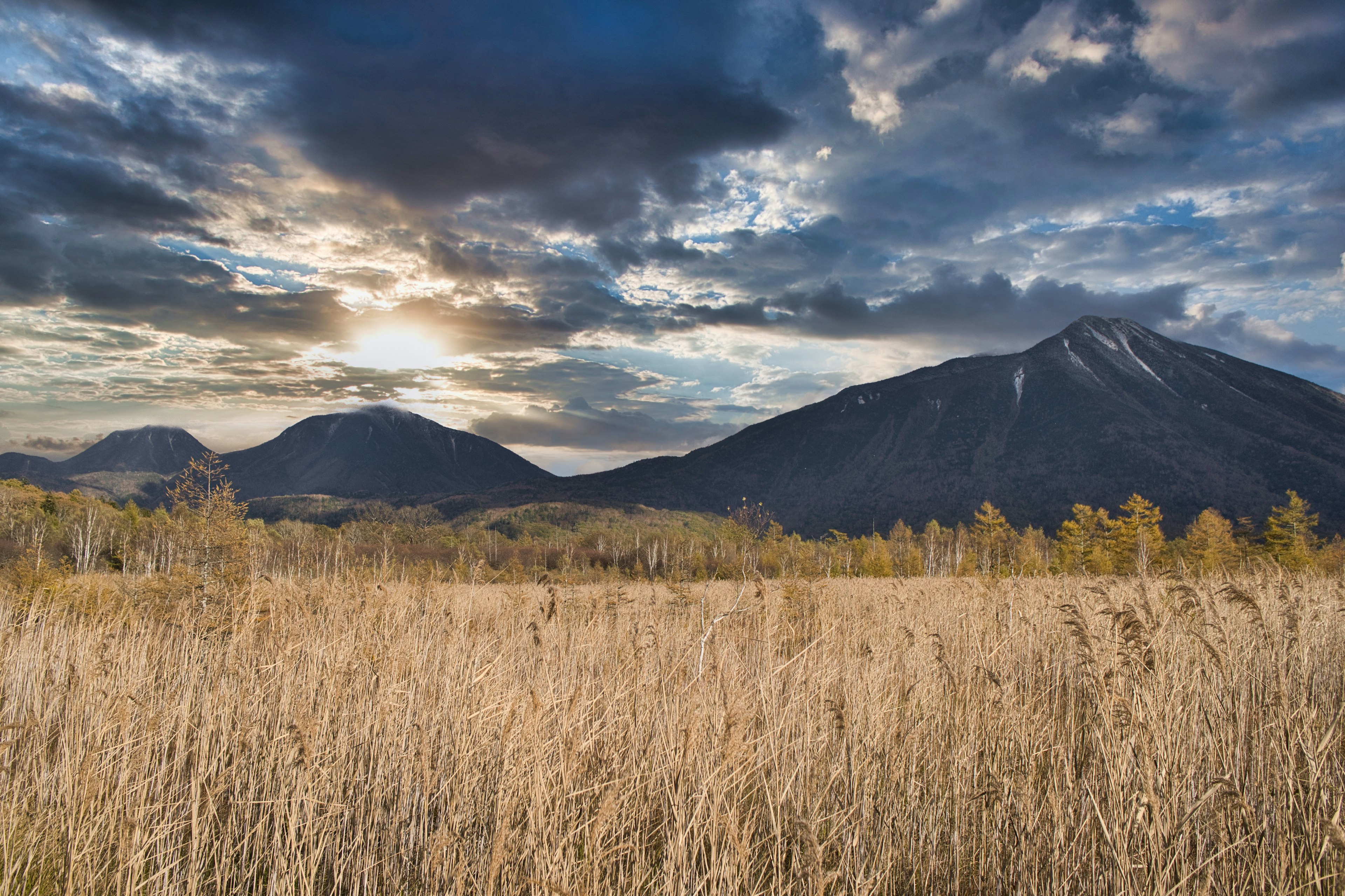 Beautiful landscape featuring golden grassland and majestic mountains