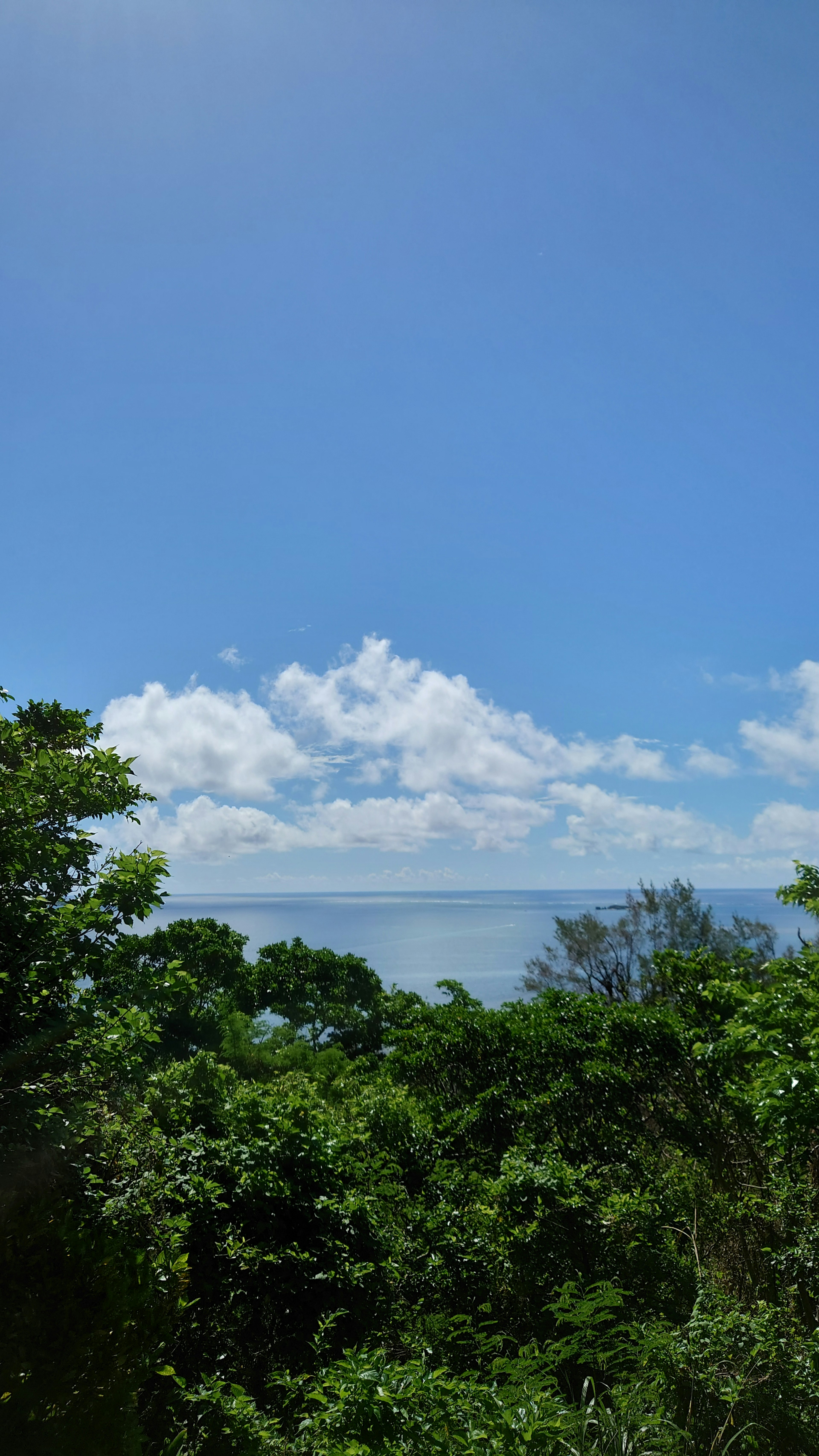 Vista panoramica dell'oceano sotto un cielo blu chiaro con nuvole bianche alberi verdi lussureggianti in primo piano