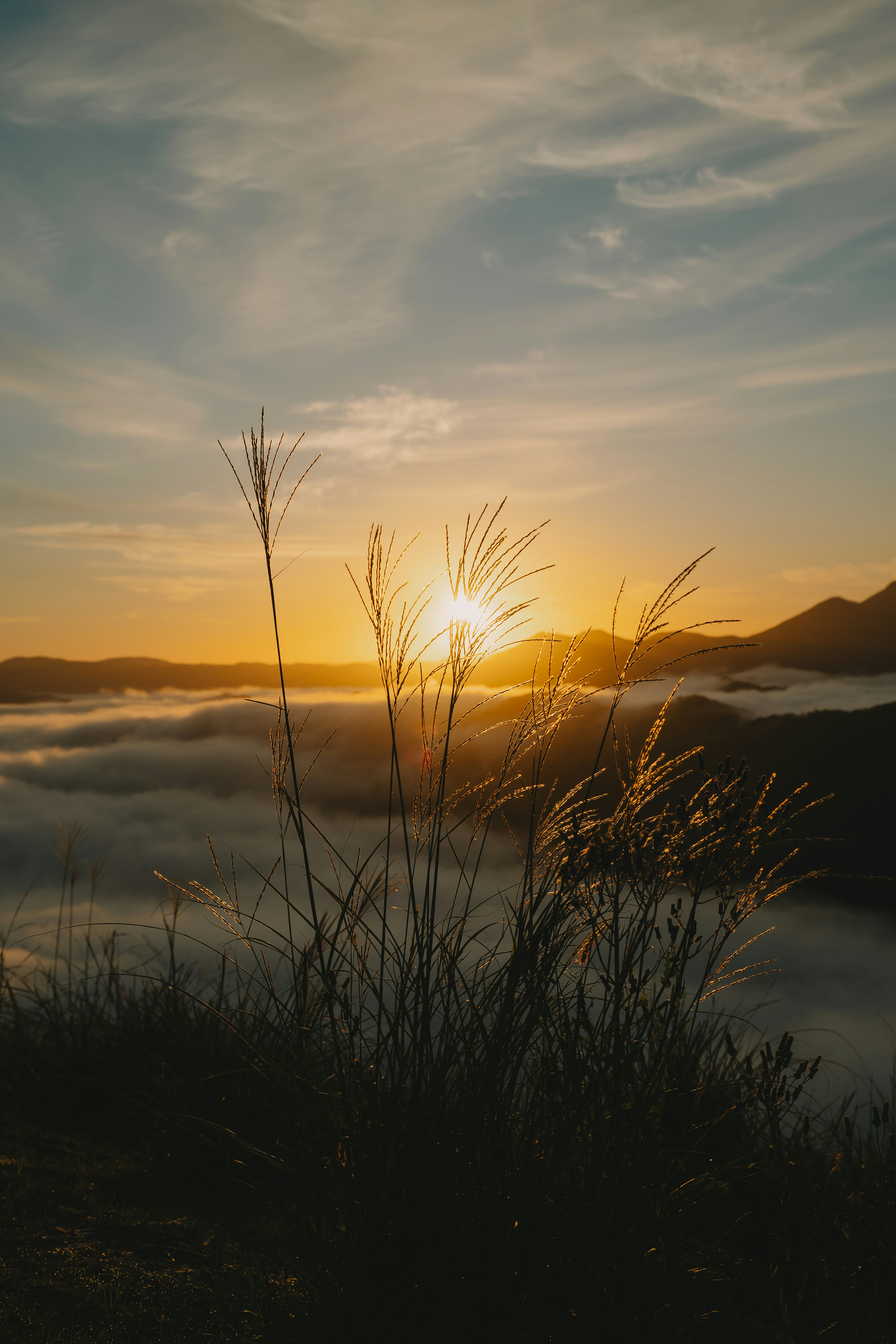 Silhouette rumput melawan pemandangan indah dengan matahari terbenam di atas lautan awan