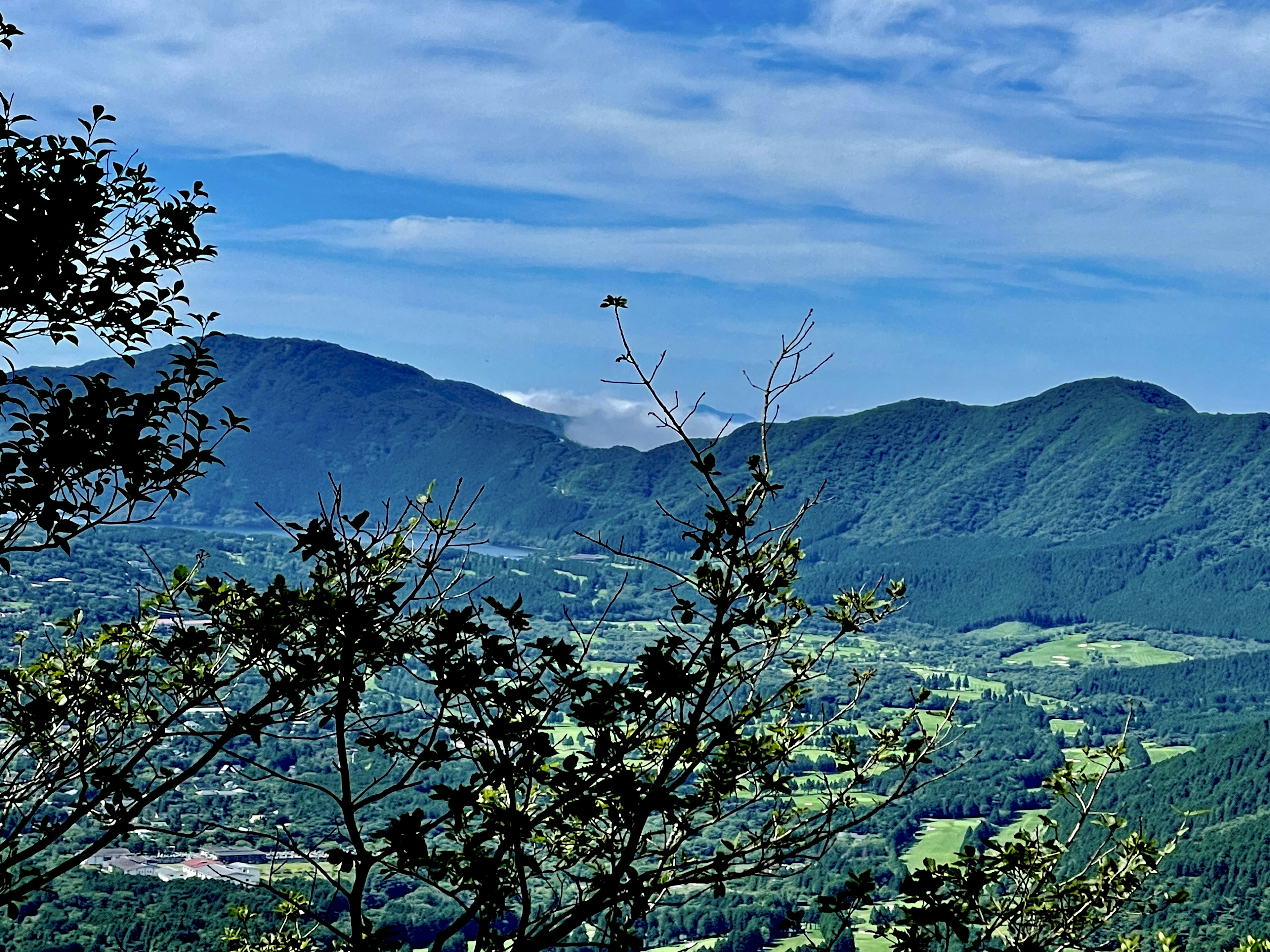 綠色山脈和藍天的風景，前景有樹葉