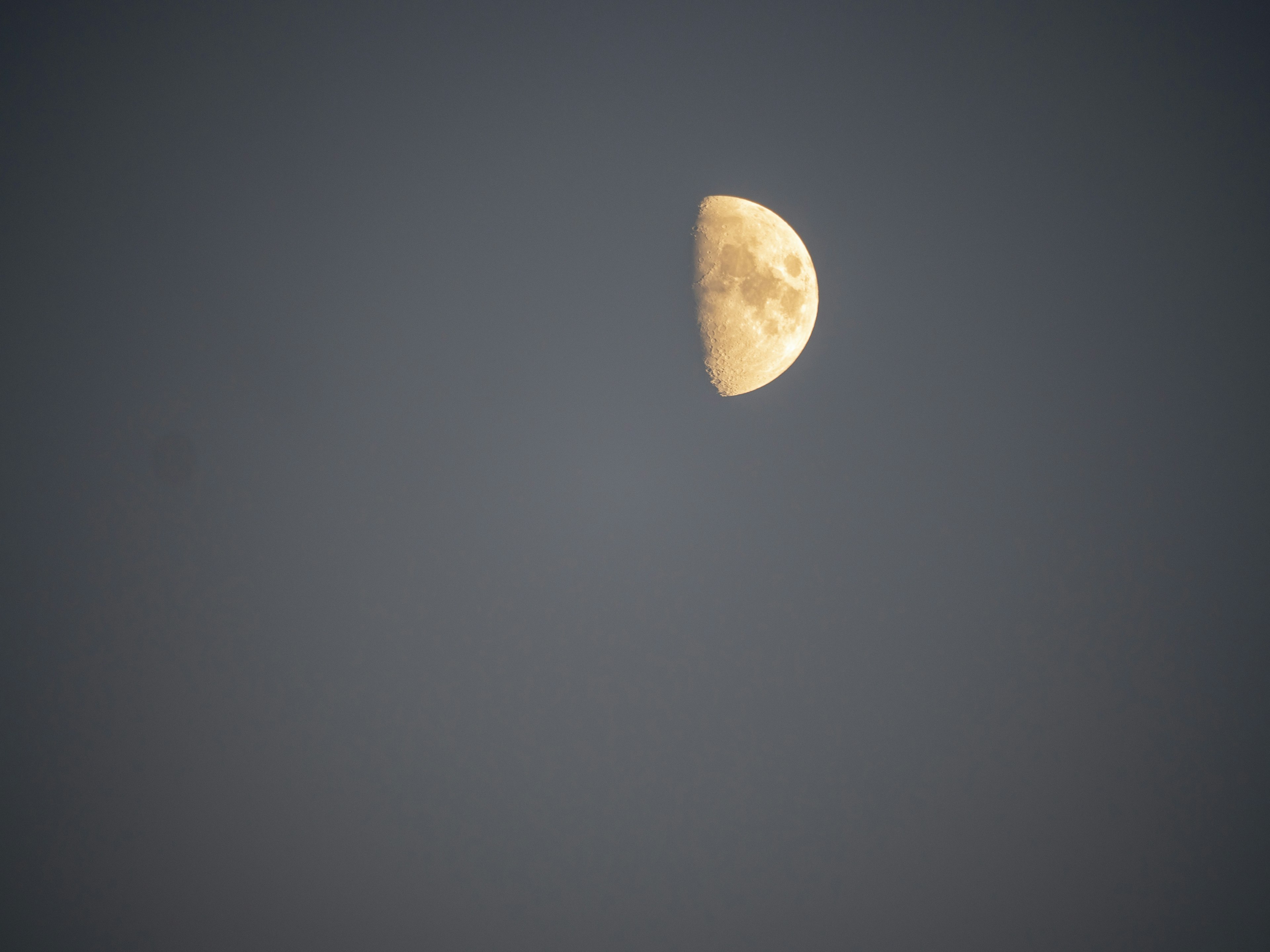 Half moon in a dark sky