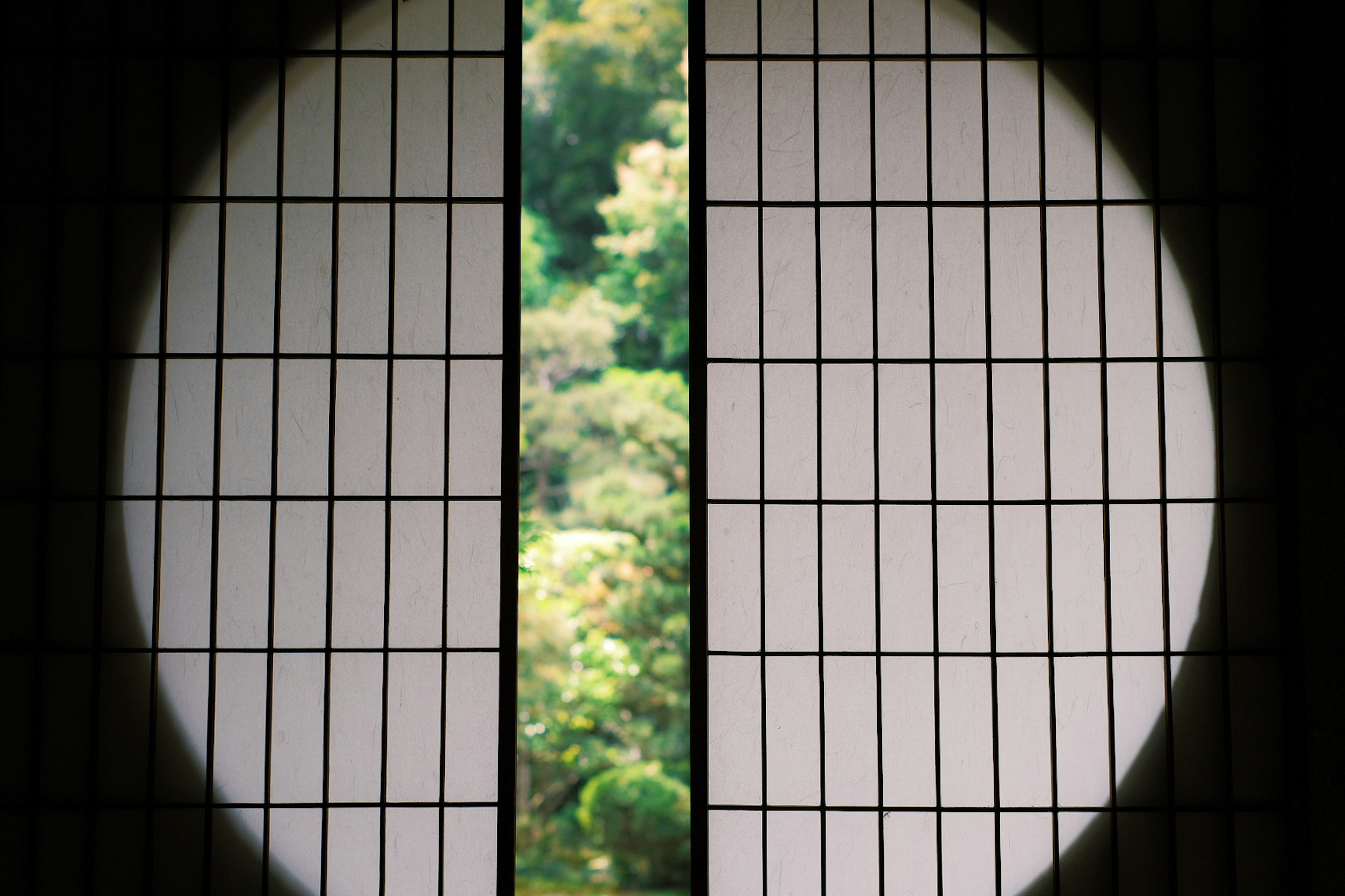 View through a shoji screen revealing lush greenery