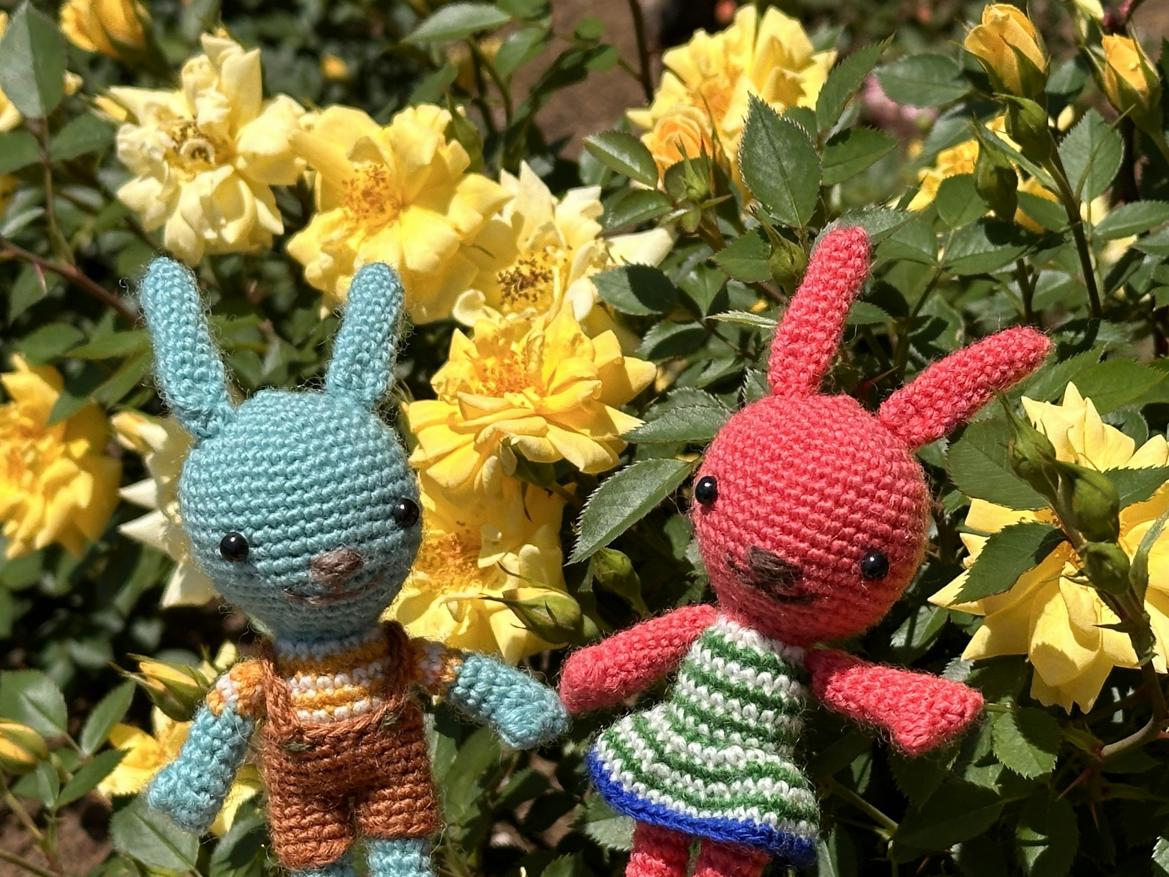 Poupées en laine bleu et rouge devant des roses jaunes