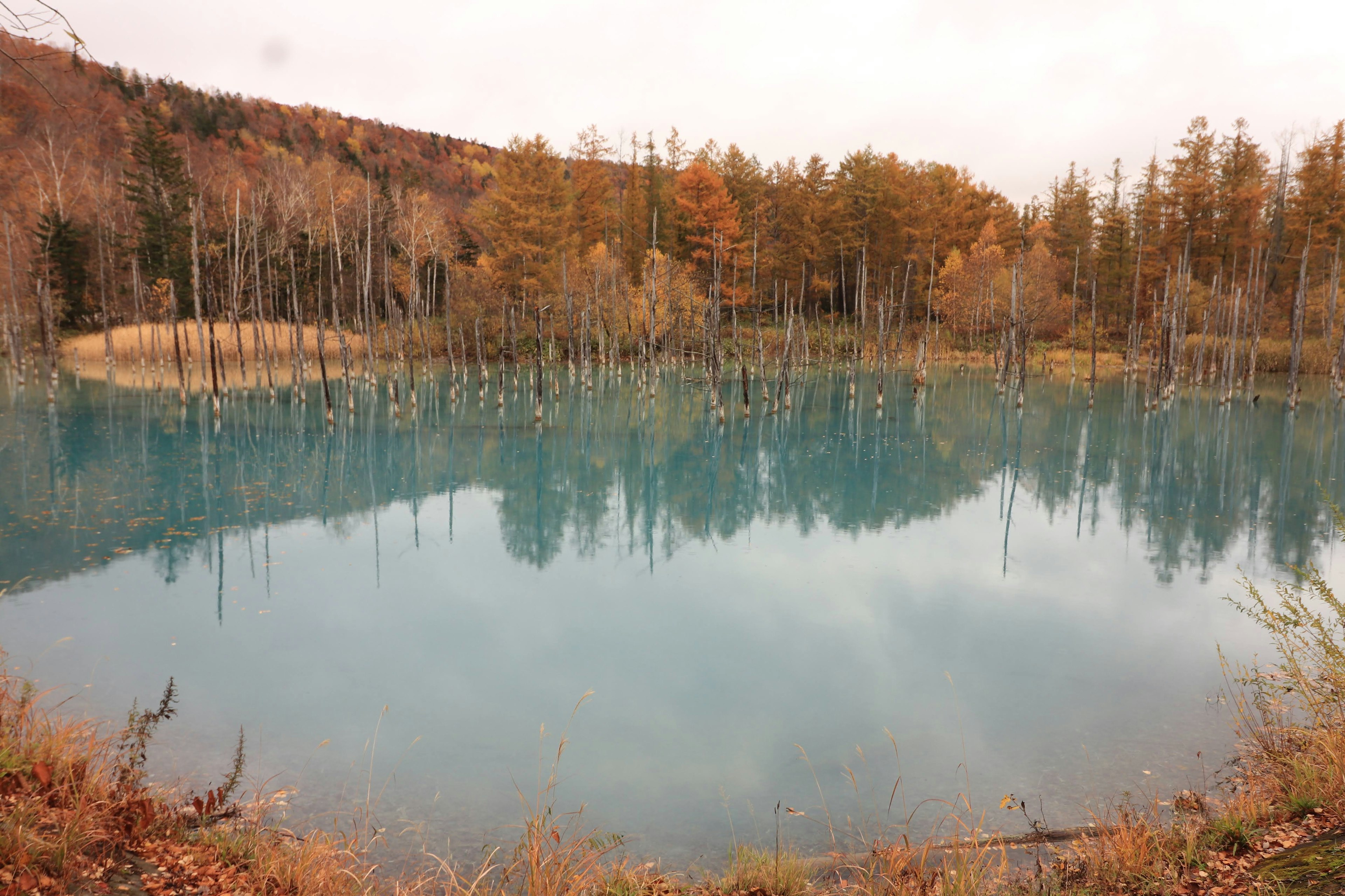 Serene blue pond surrounded by autumn-colored trees