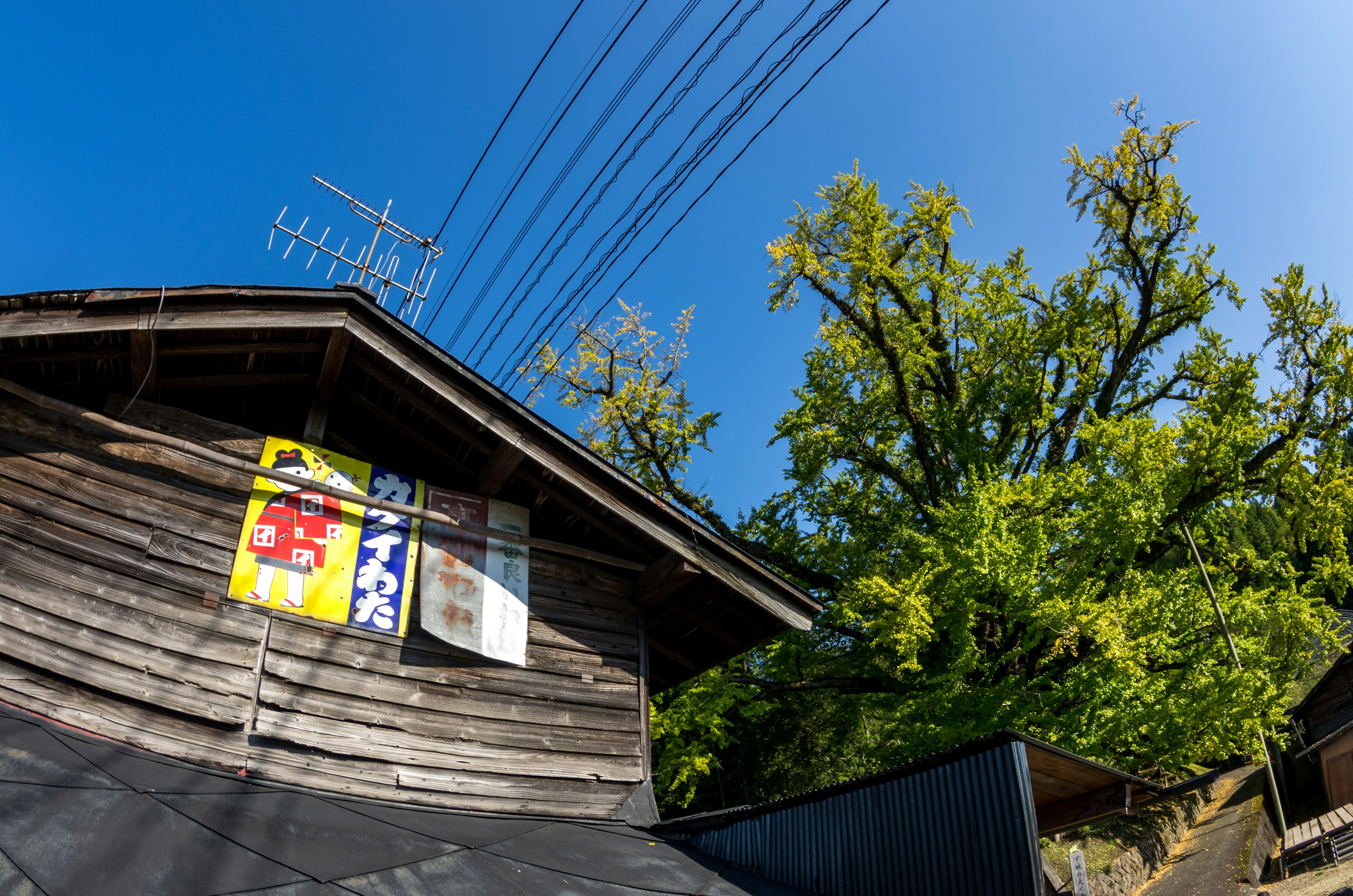 A scenic view featuring an old wooden building and green trees under a blue sky