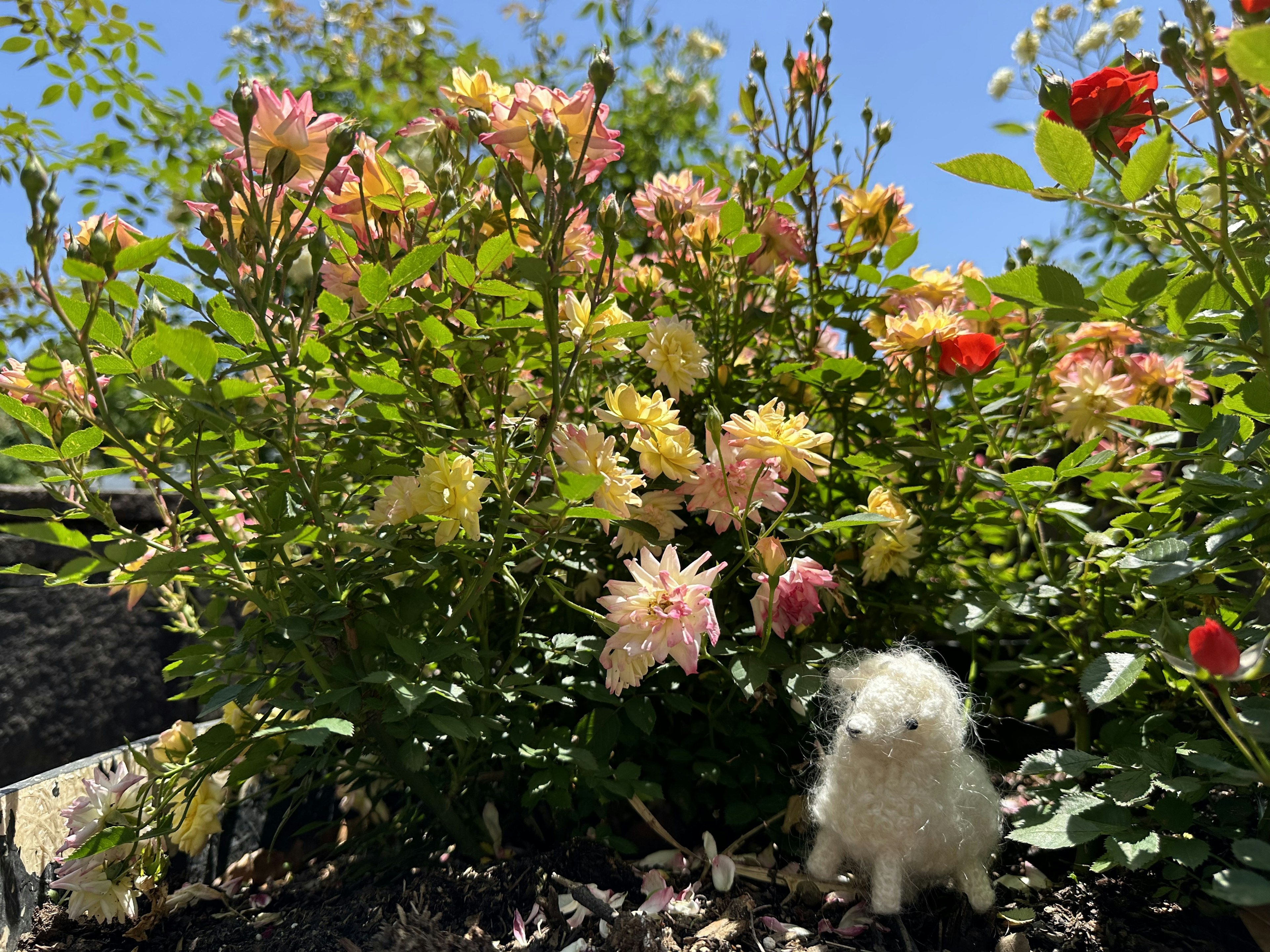 一隻小白色動物雕像在花園中五彩繽紛的盛開花朵中