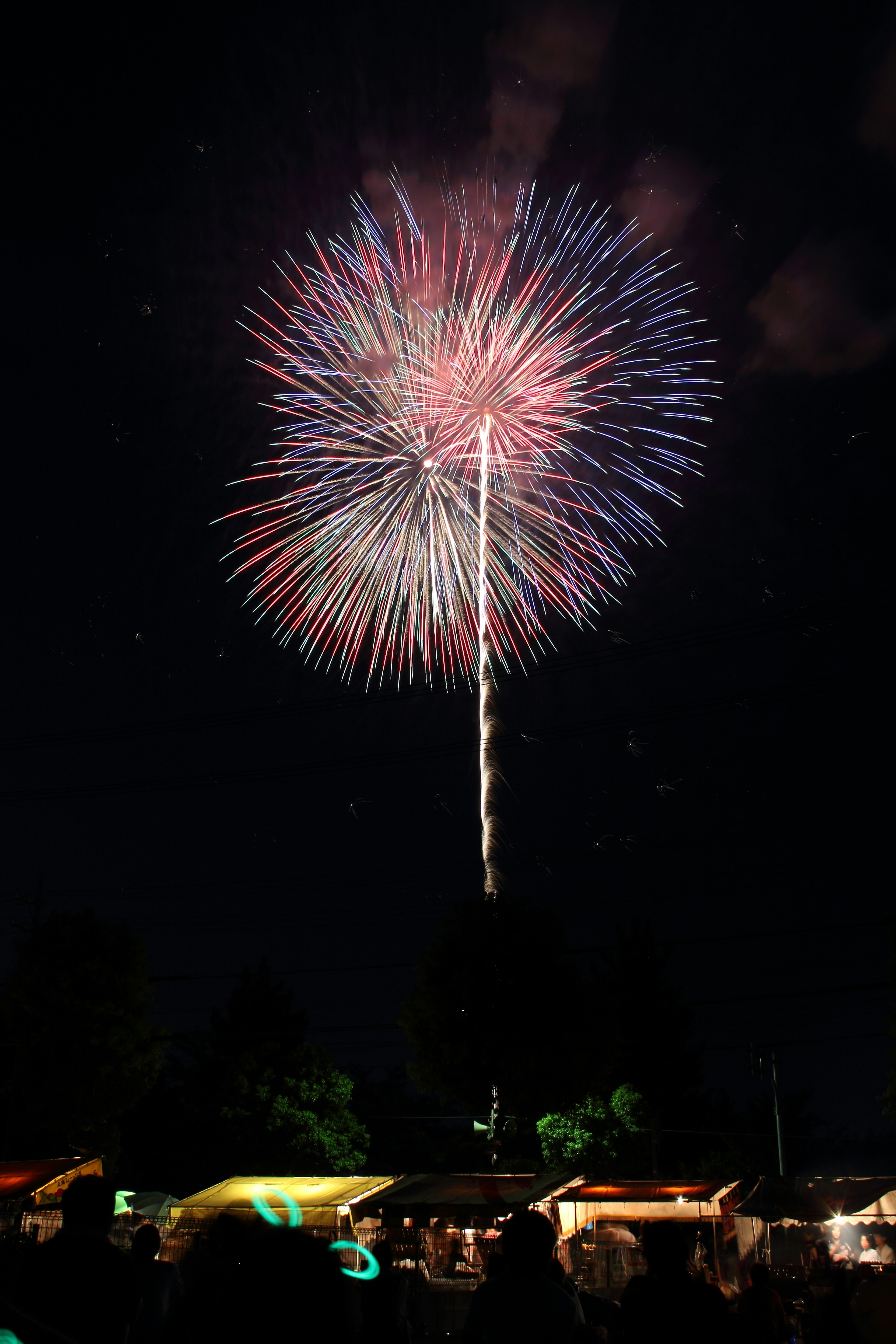 Colorful fireworks bursting in the night sky