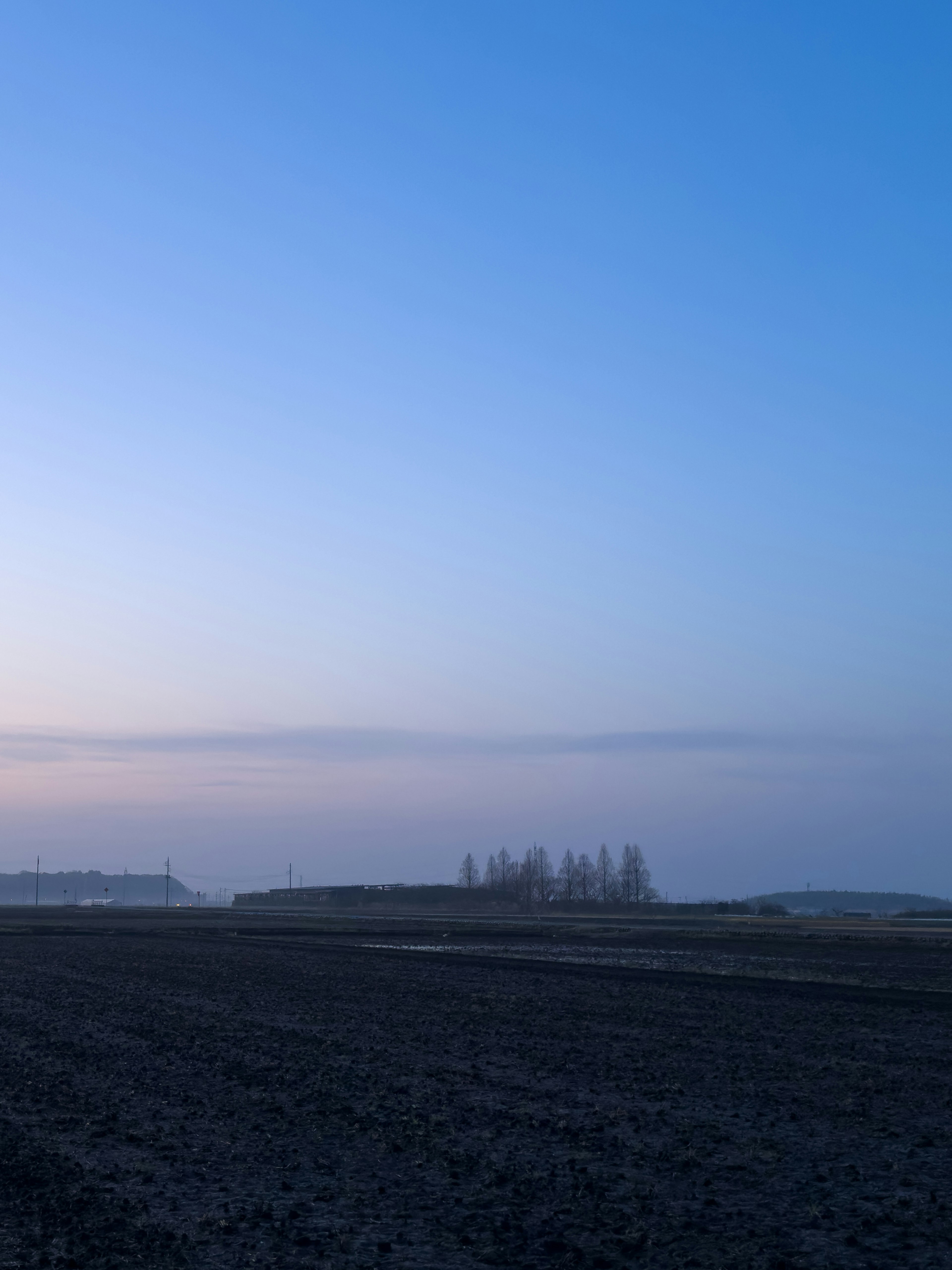 Paysage avec des arbres dans le brouillard et un champ vaste sous un ciel bleu