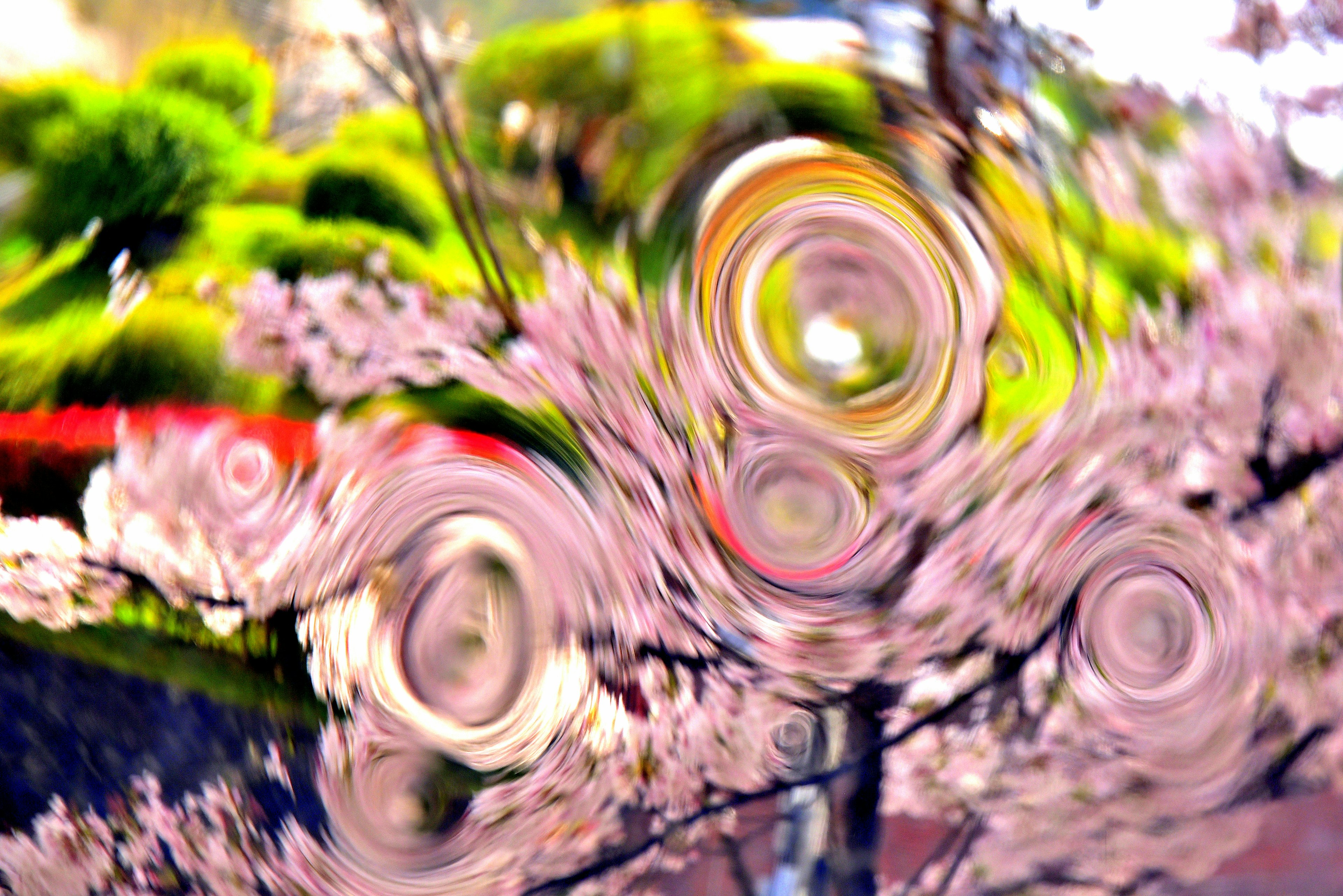 Imagen abstracta de flores de cerezo borrosas con fondo verde