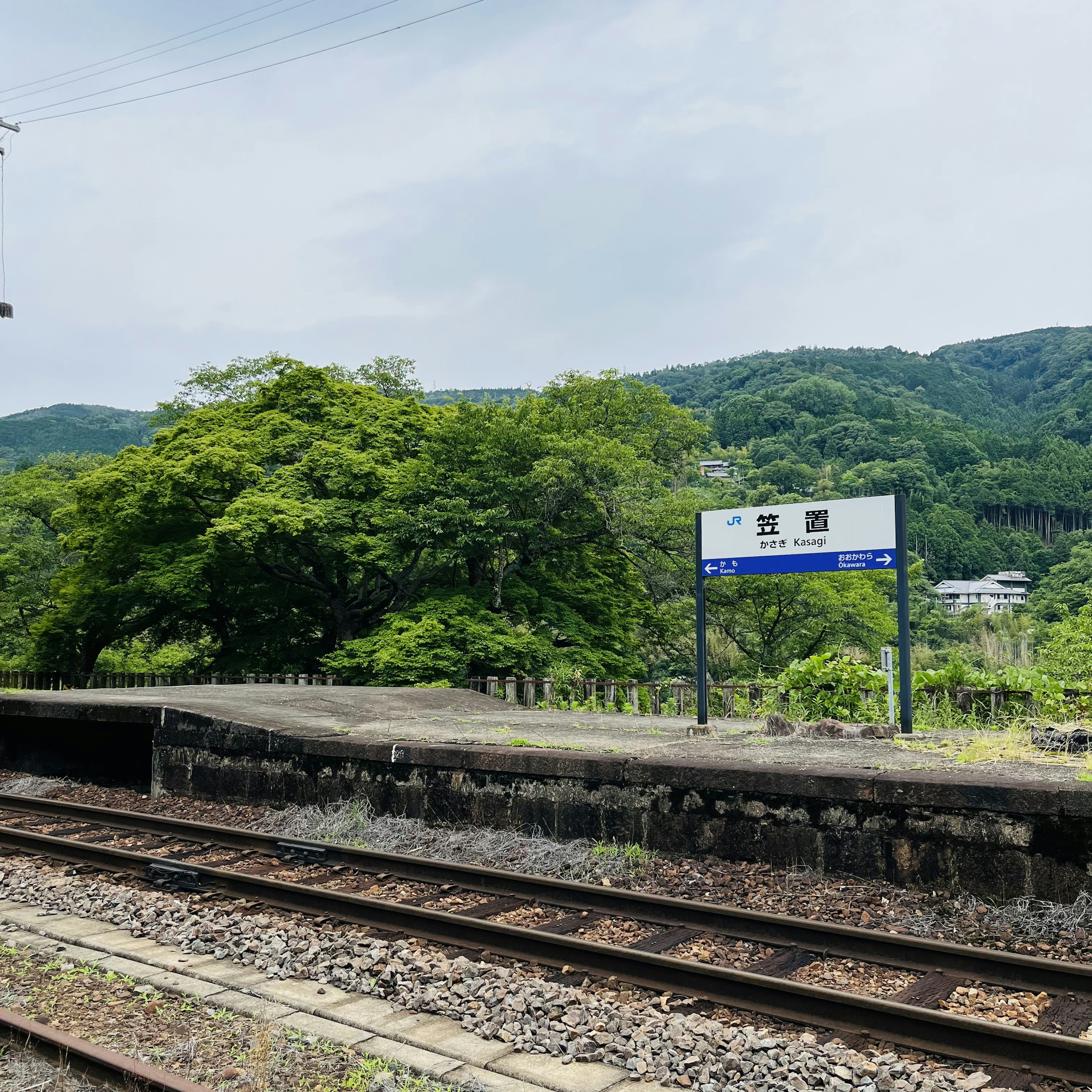 緑豊かな風景の中の無人駅のプラットフォームと線路