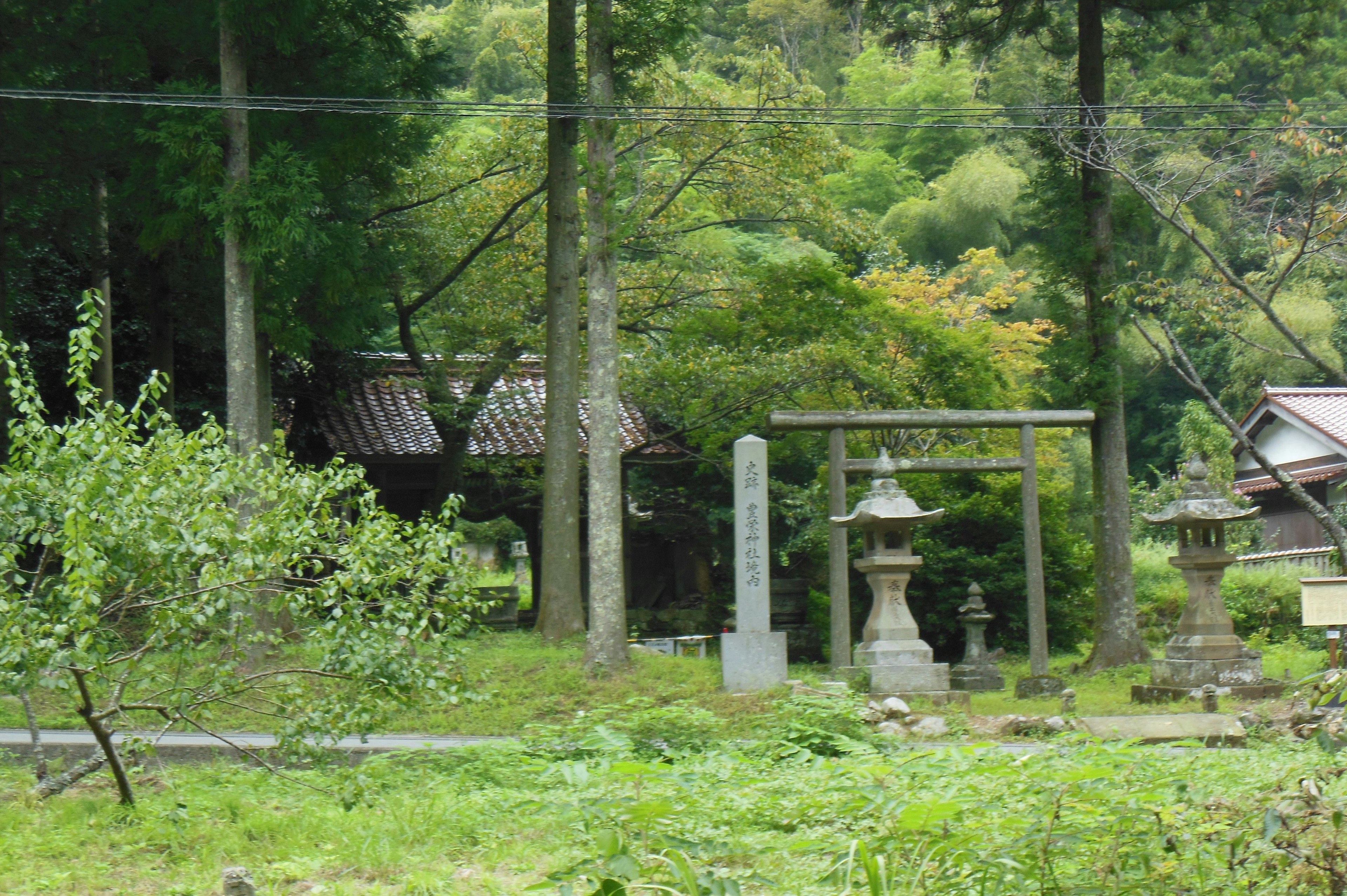 被郁郁葱葱的绿树环绕的宁静神社，带有鸟居和石灯笼