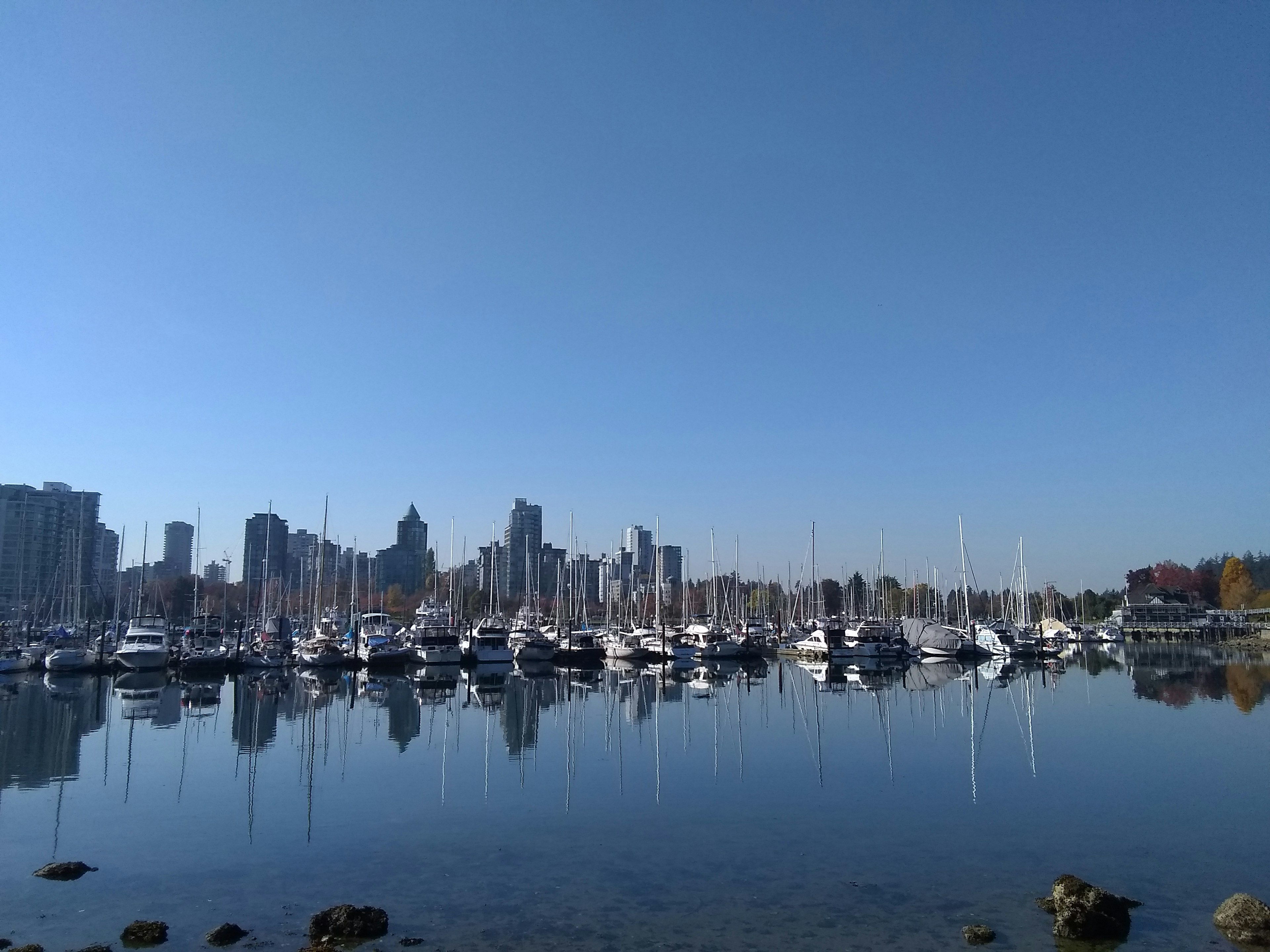 City skyline with yachts on calm water under clear blue sky