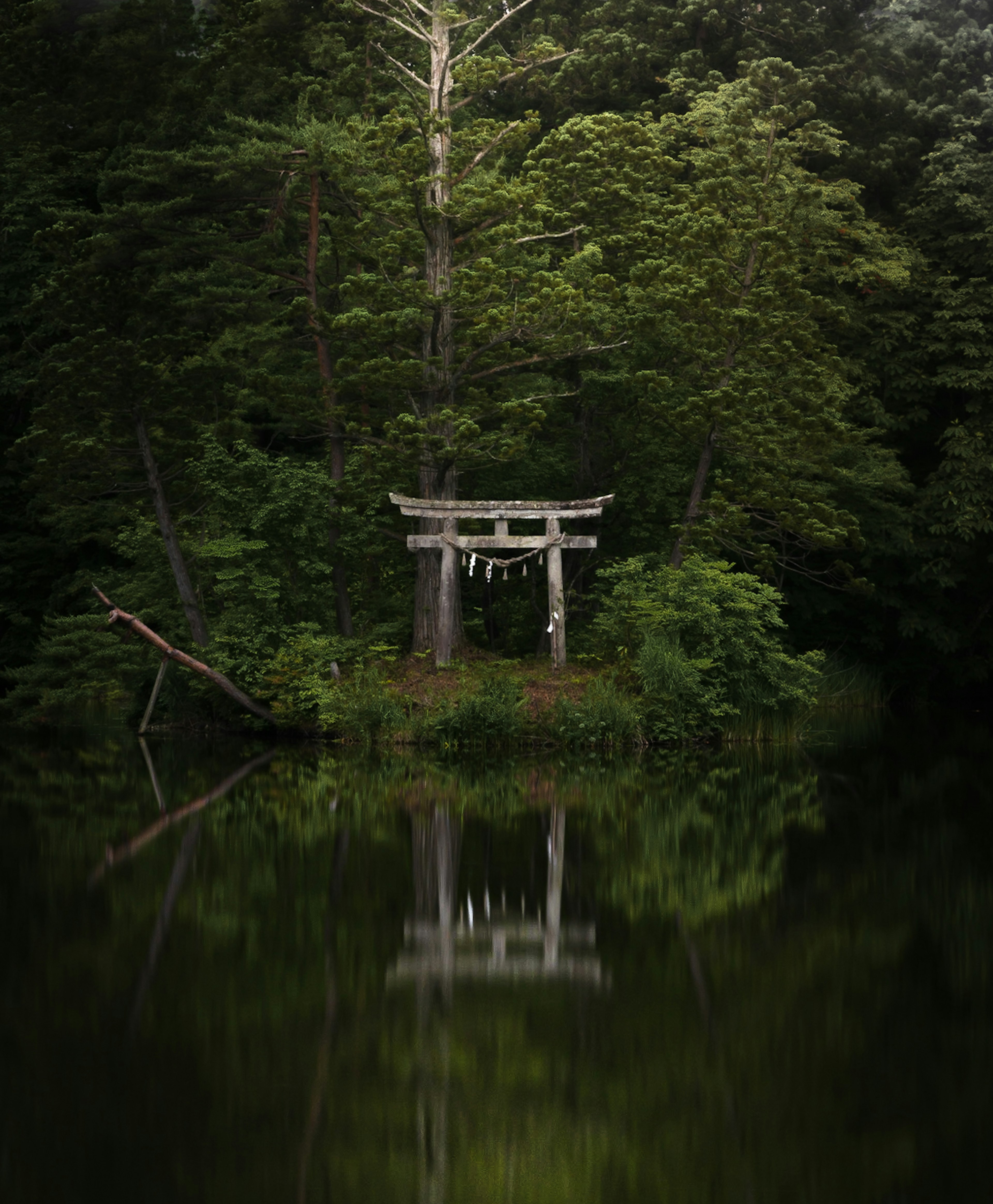 静かな湖に映る鳥居と周囲の緑の森林