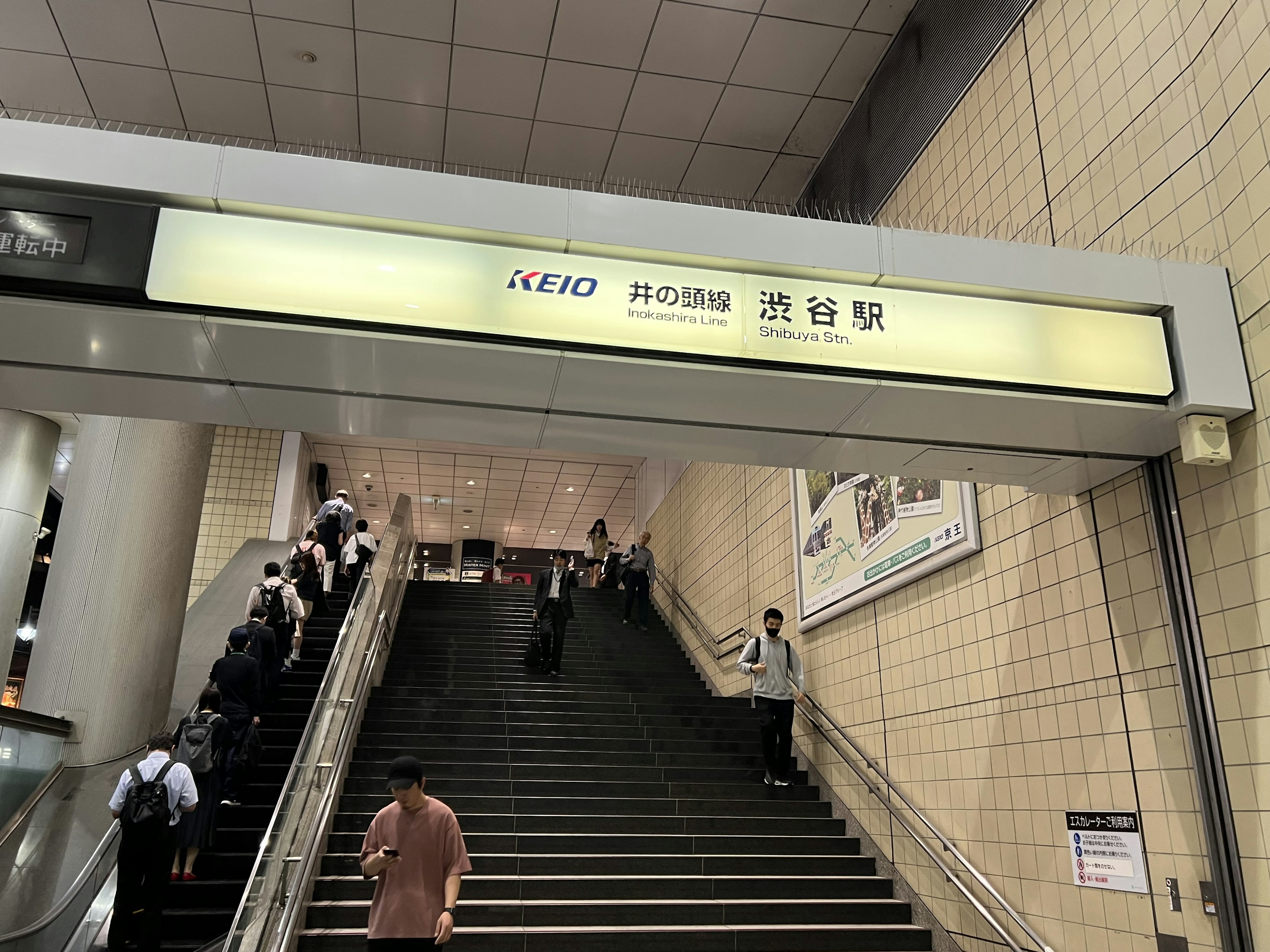 Vue d'un escalier de gare avec signalisation