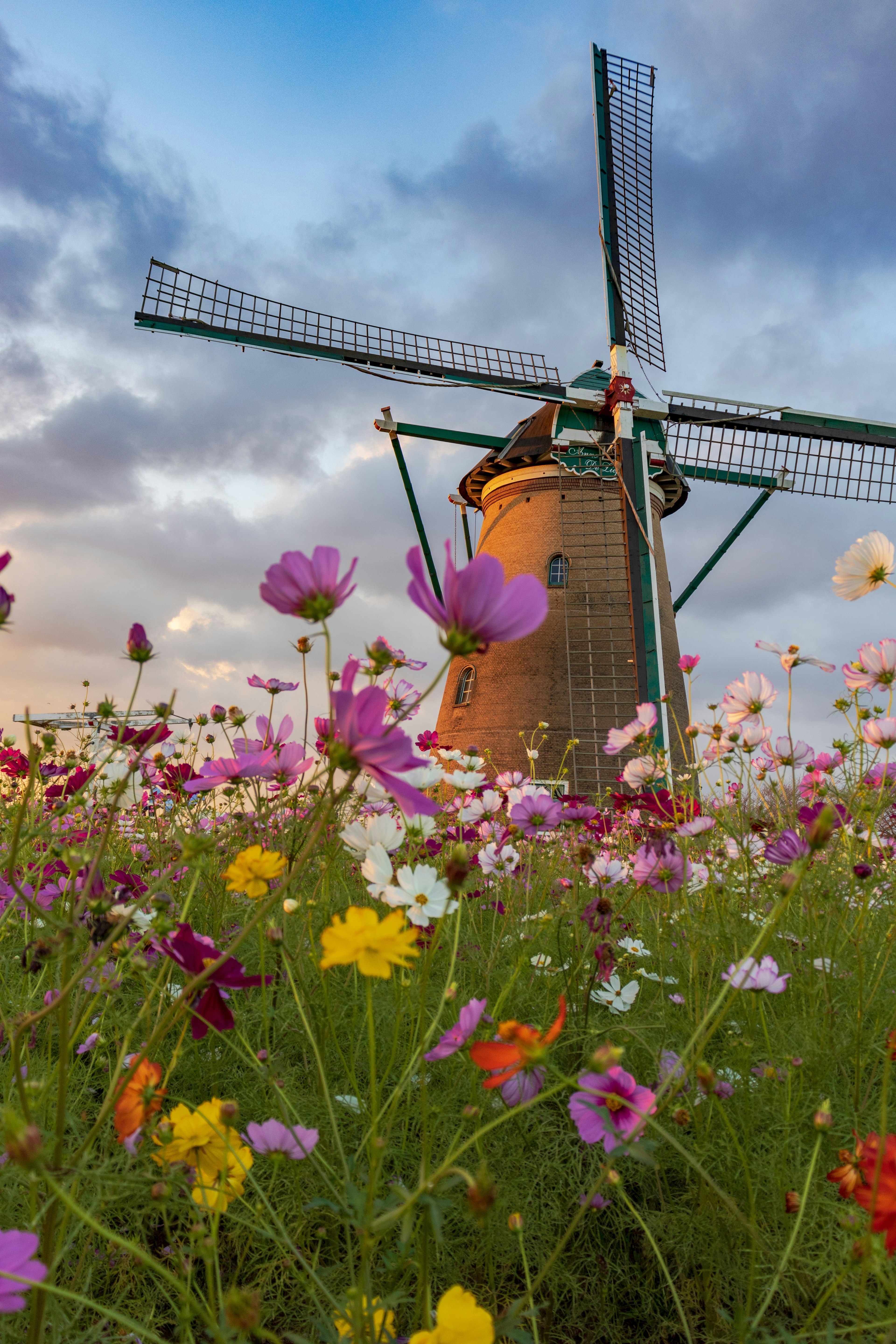 A picturesque windmill surrounded by colorful flowers