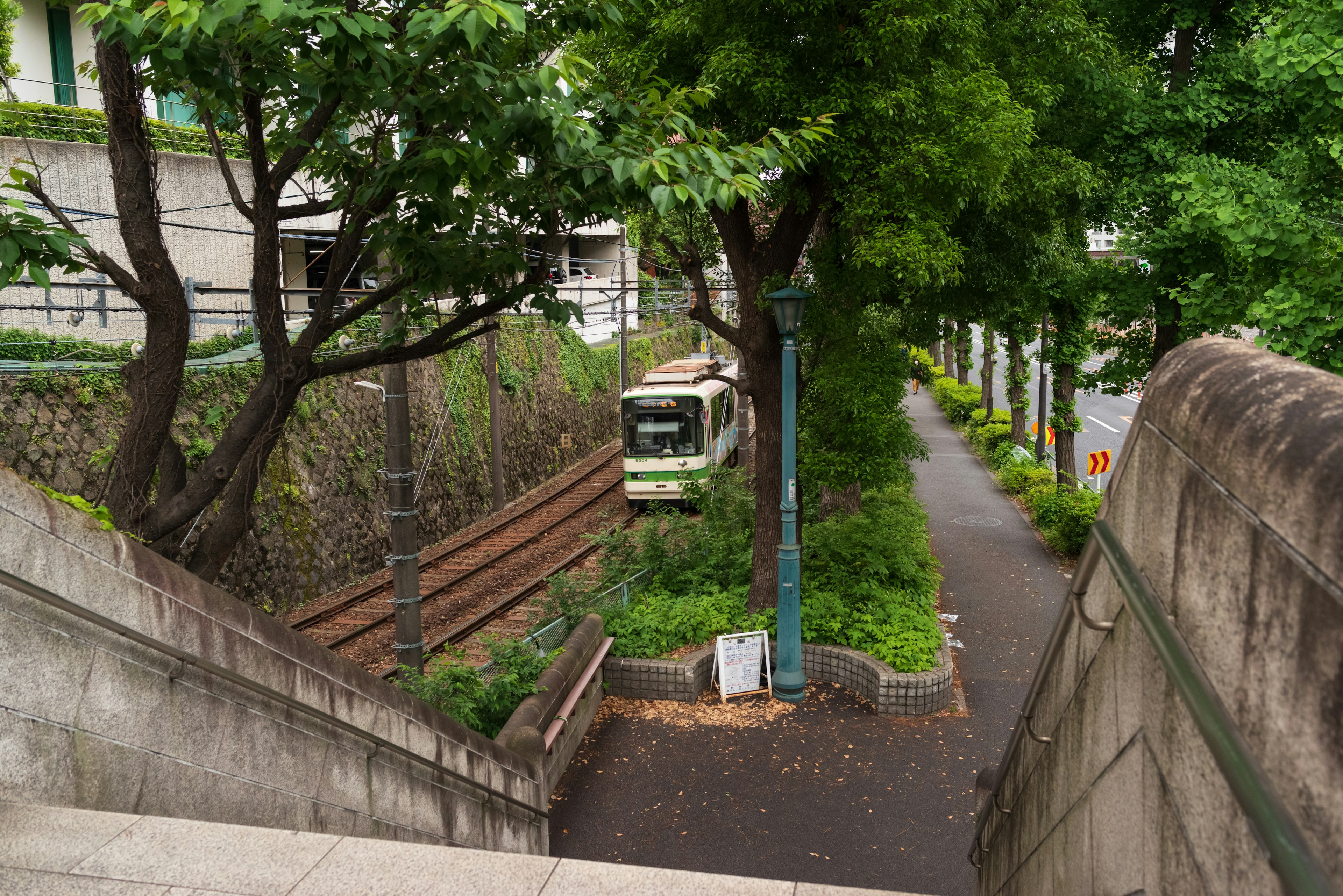 Straßenbahngleise umgeben von üppigem Grün und einem Gehweg