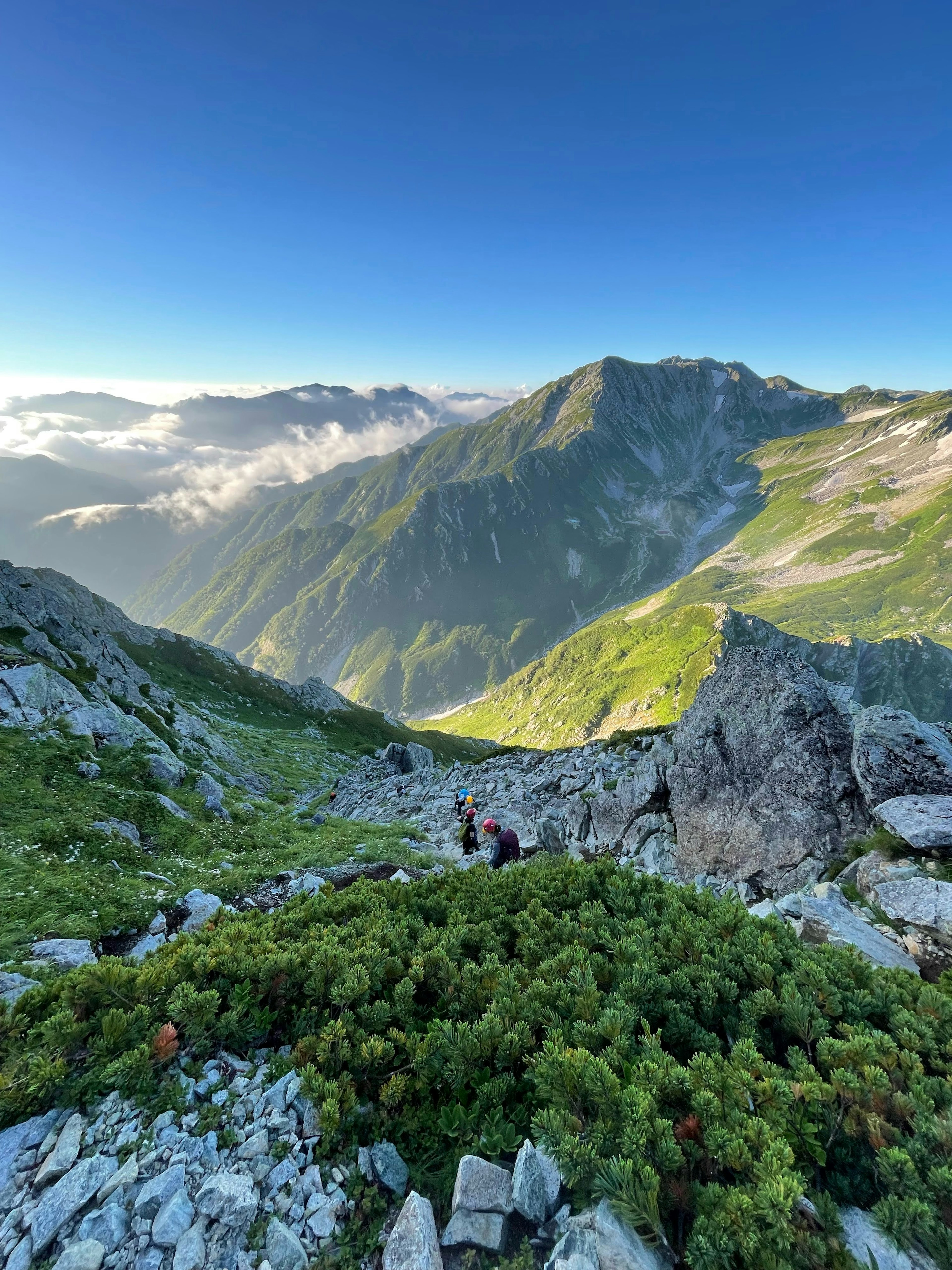 美しい山の風景と緑の植生を背景にした登山者