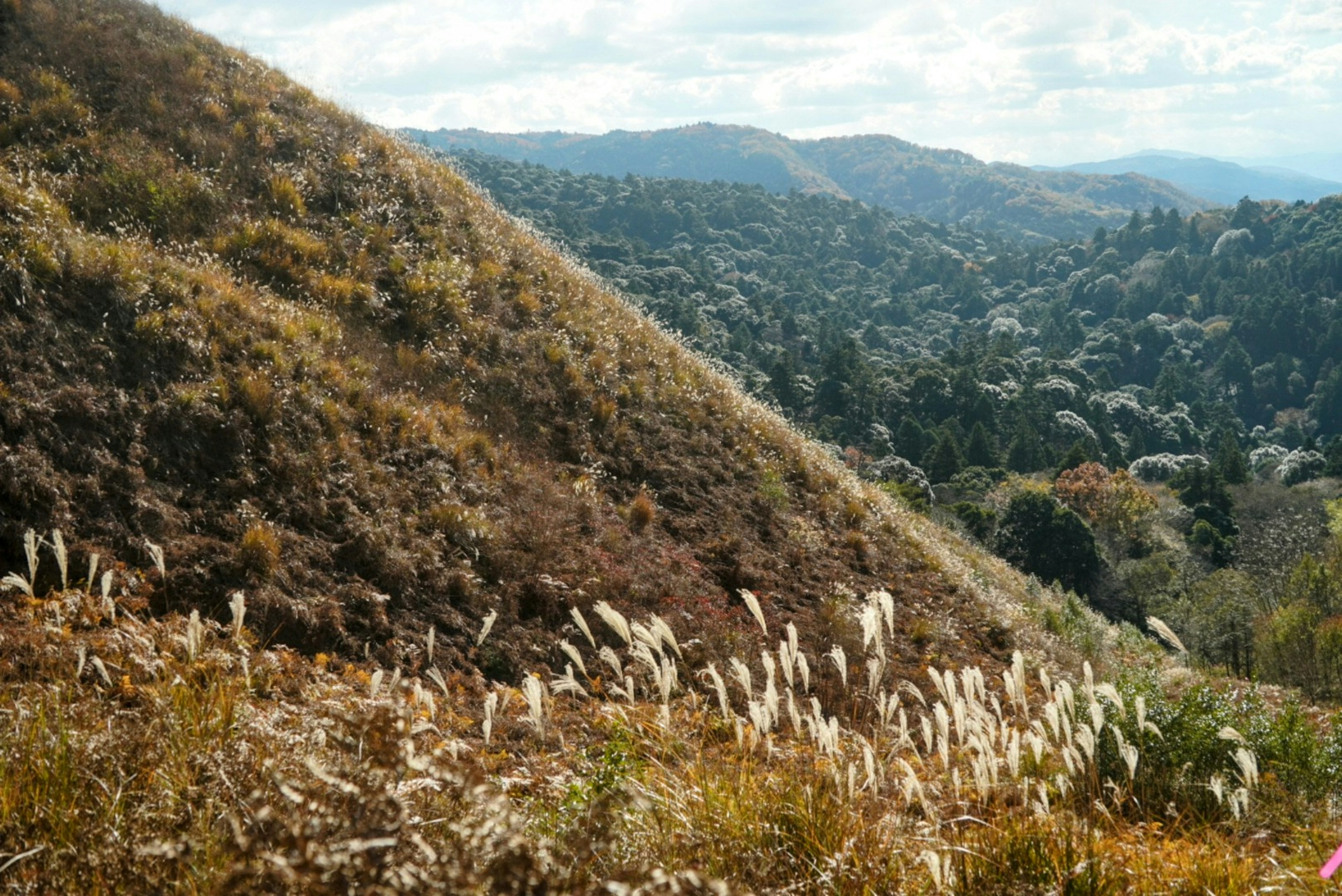 Lush green mountains and grassy landscape view