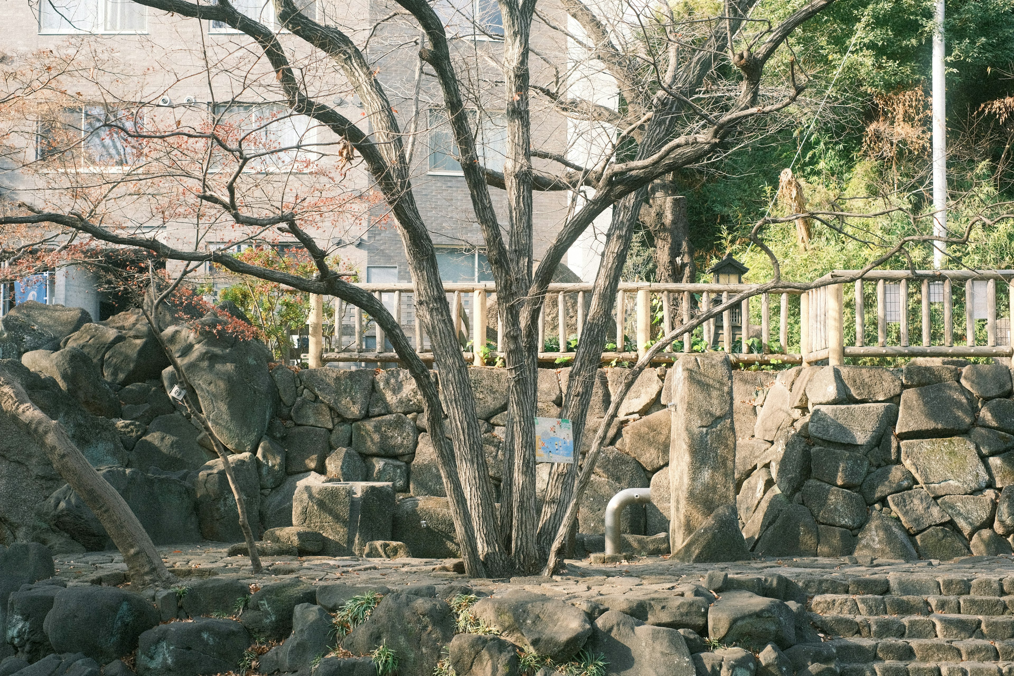 石の壁の前に立つ木と周囲の緑豊かな景色