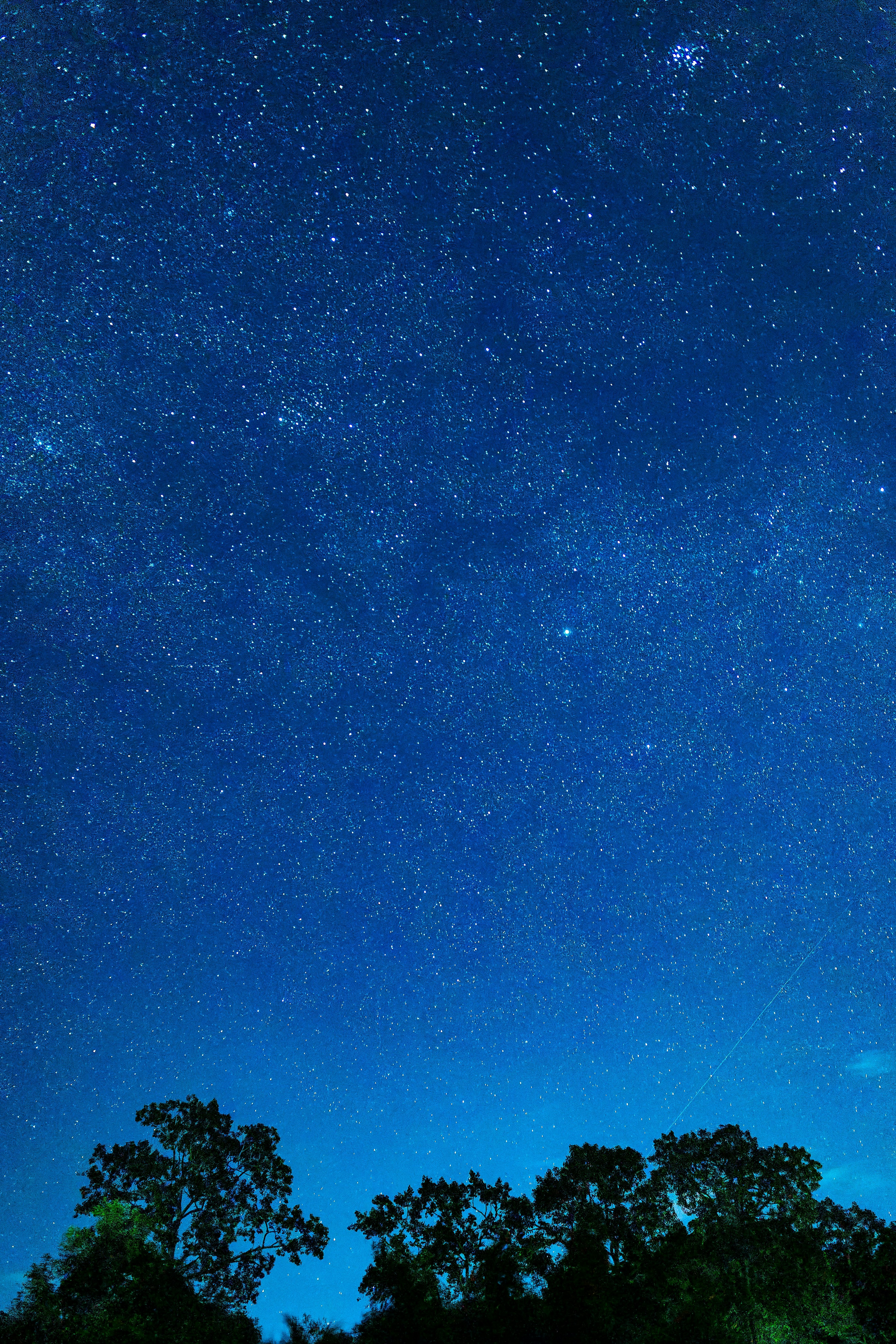 青い夜空に星々が輝く風景と木々のシルエット