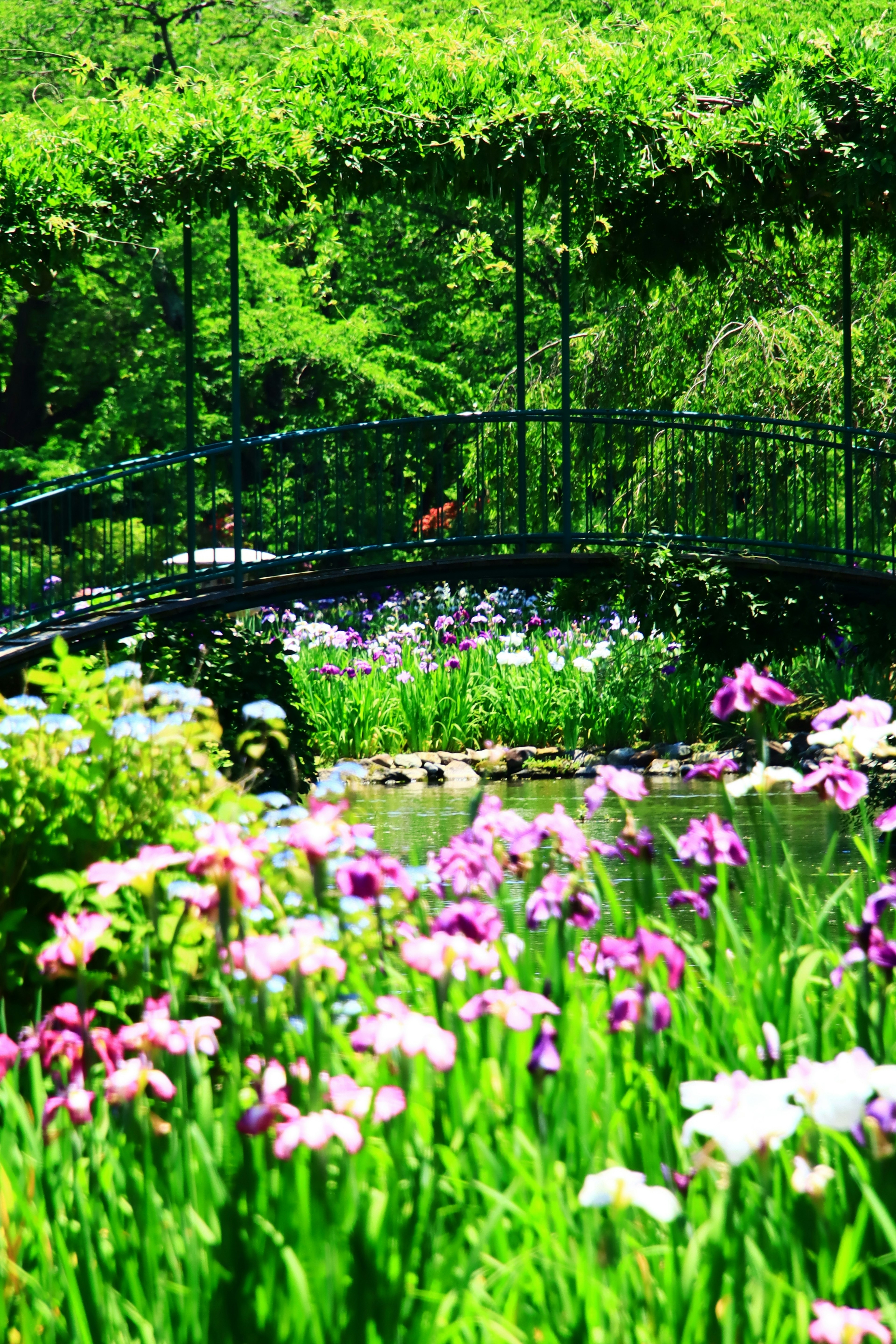 Beautiful bridge over a lush garden filled with colorful flowers